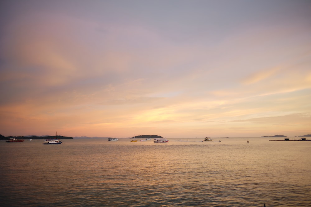 a group of boats in the water