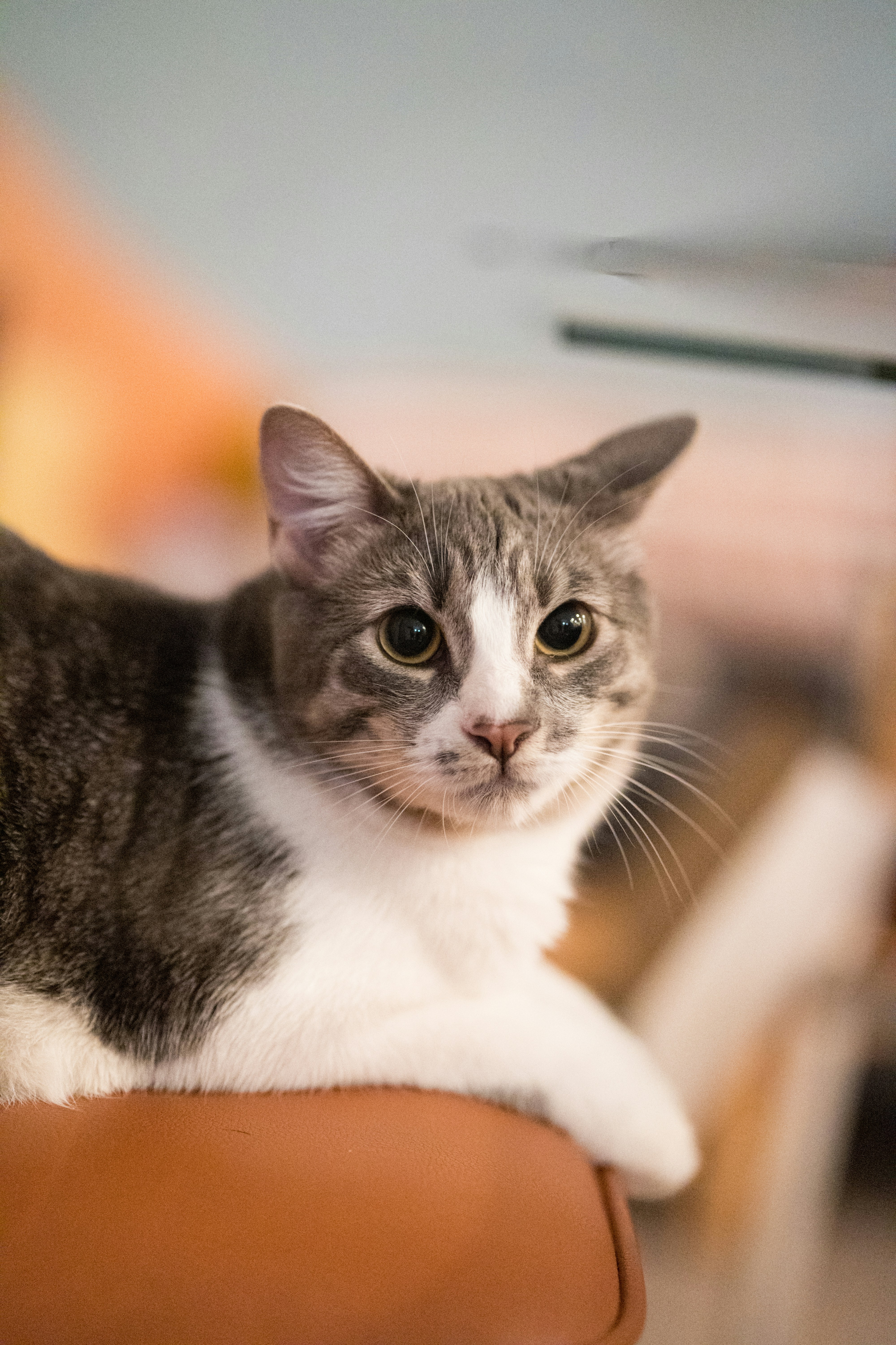 Photo by abhinav1bhardwaj