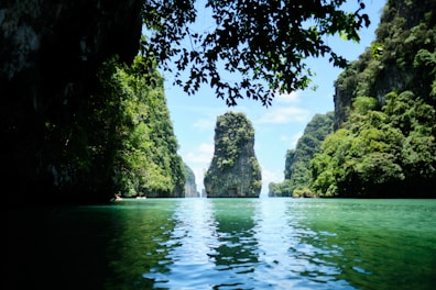 a body of water with trees around it