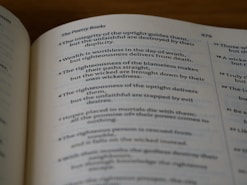 almaa terms and conditions