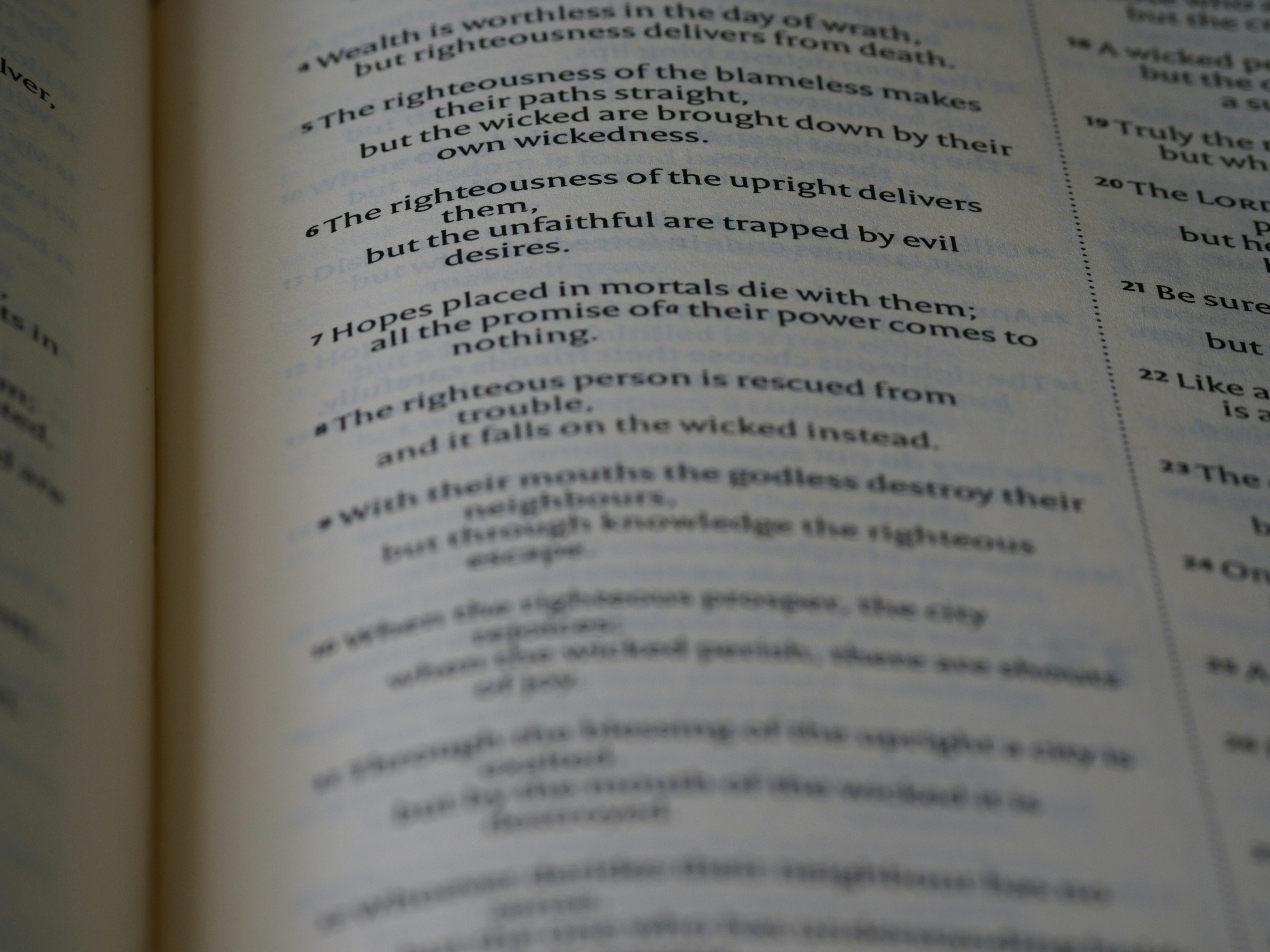 Hidden Gems for Translation in Rome