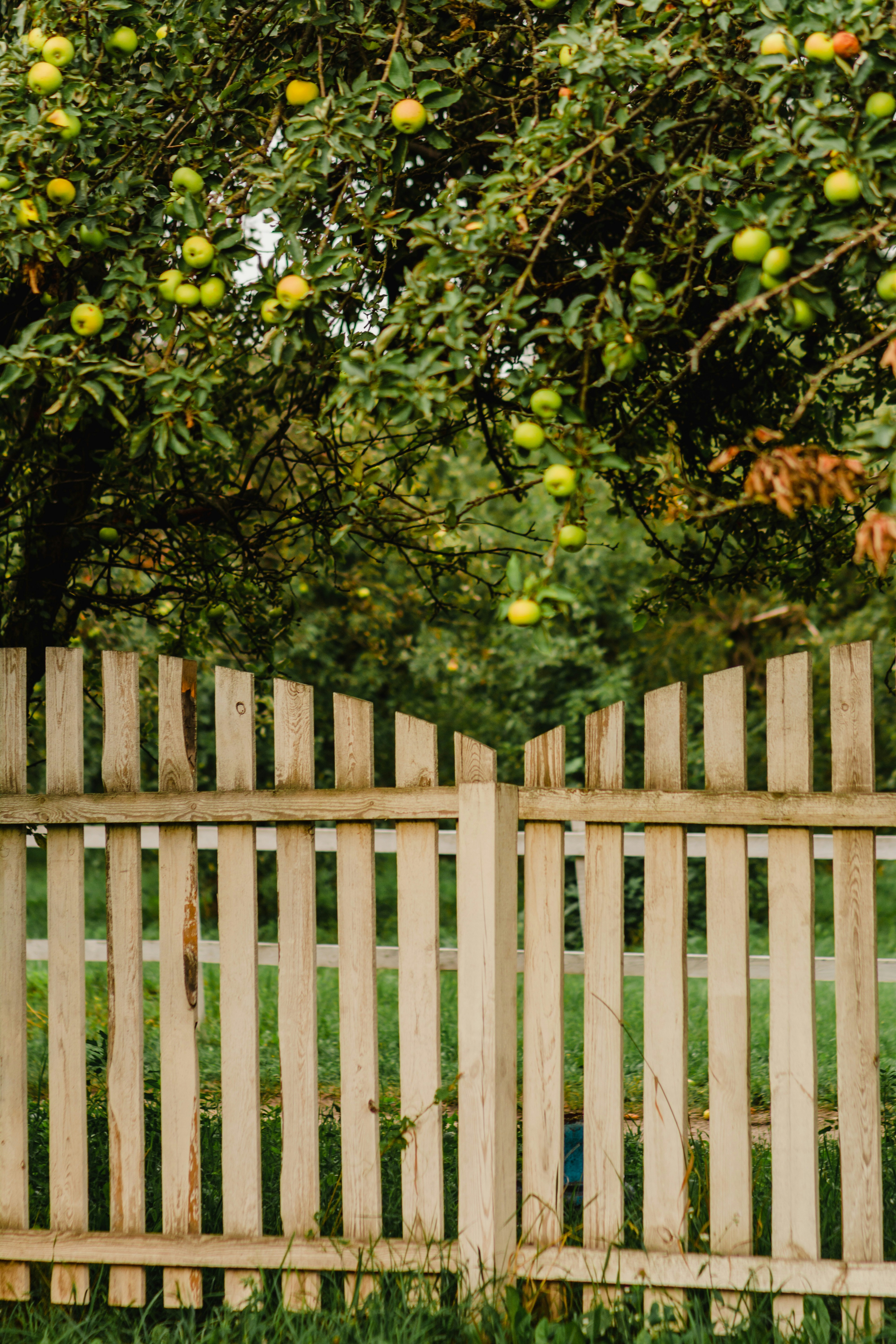 Photo by eugenivy_now