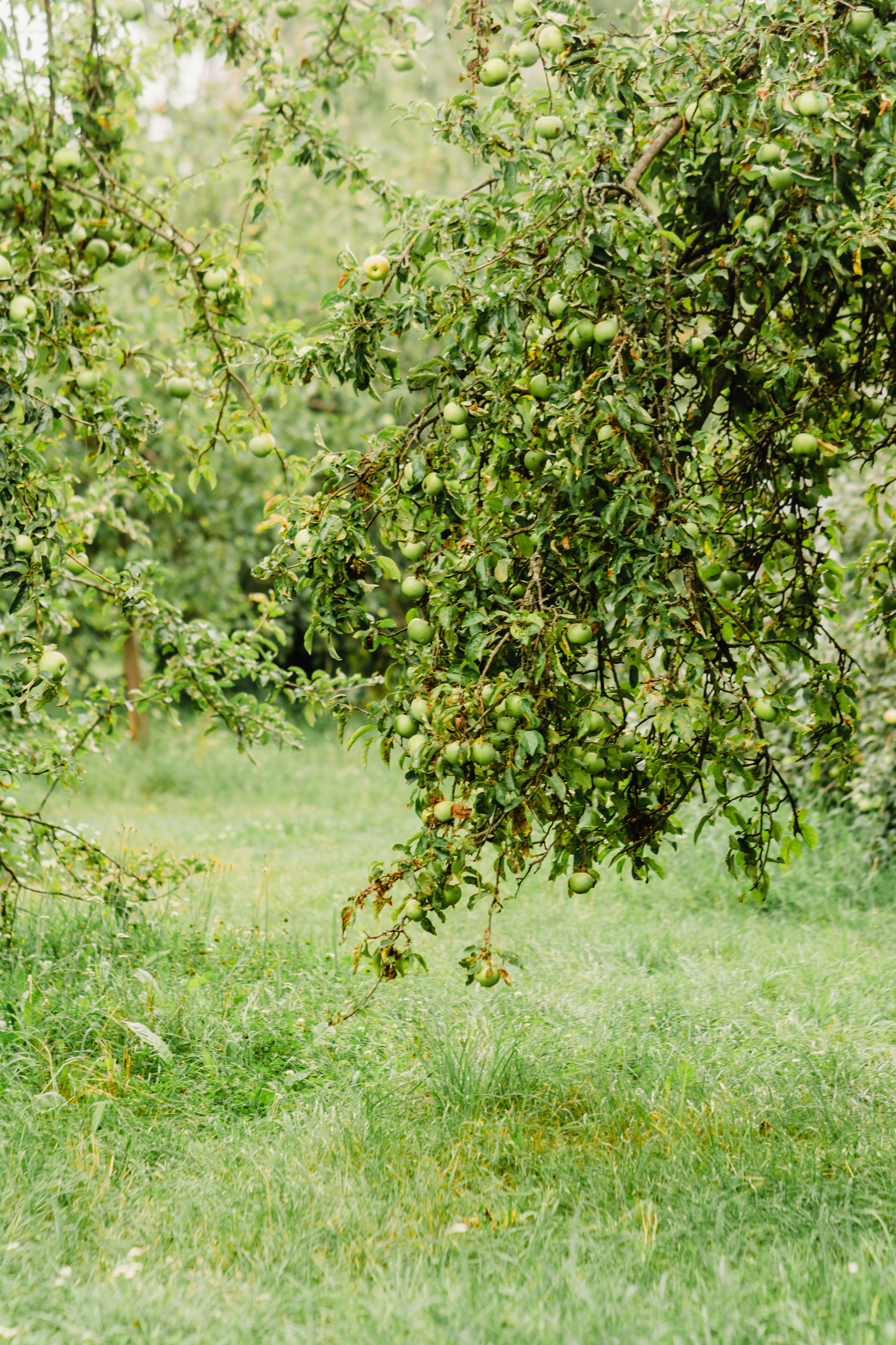 Photo by eugenivy_now