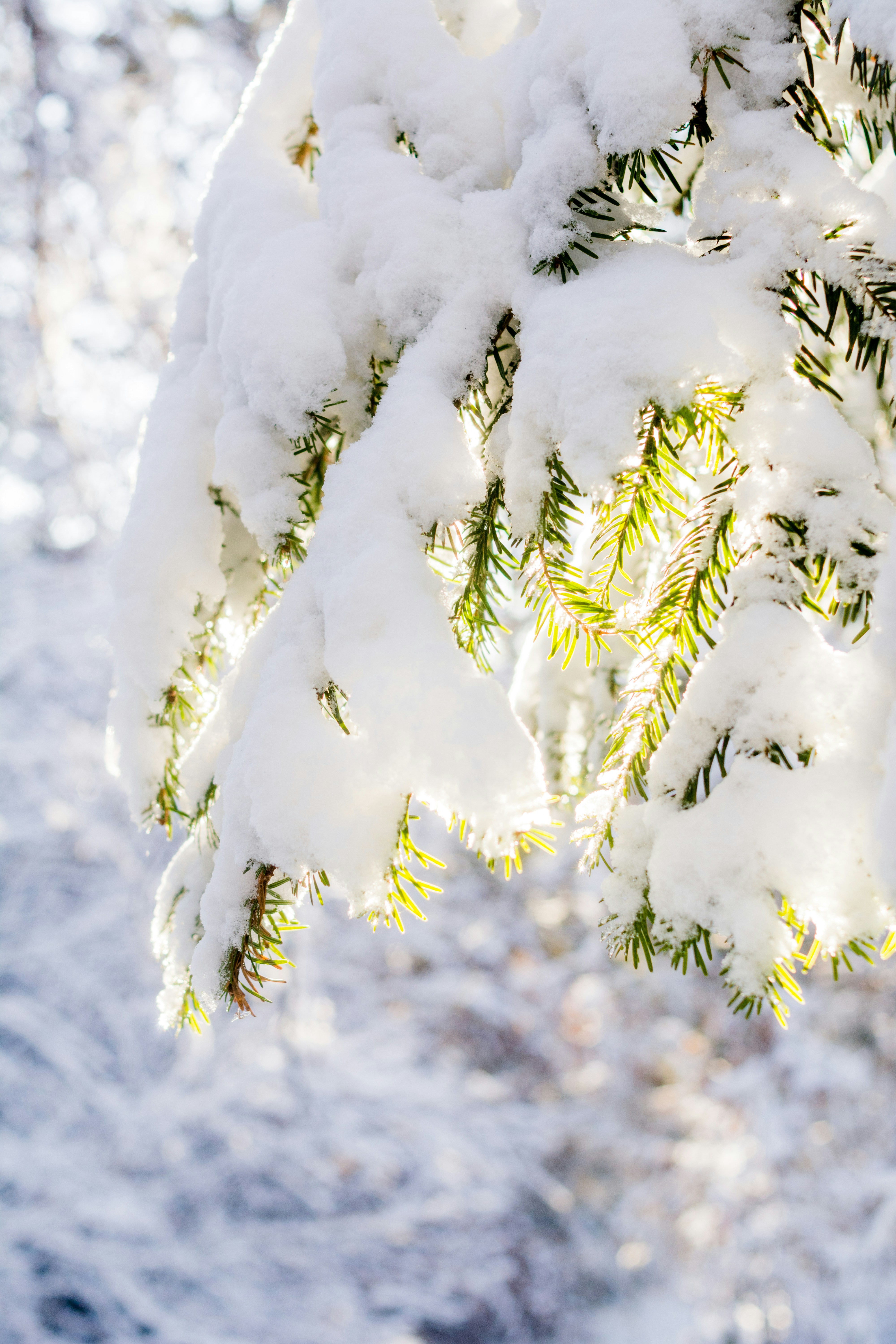 Photo by eugenivy_now