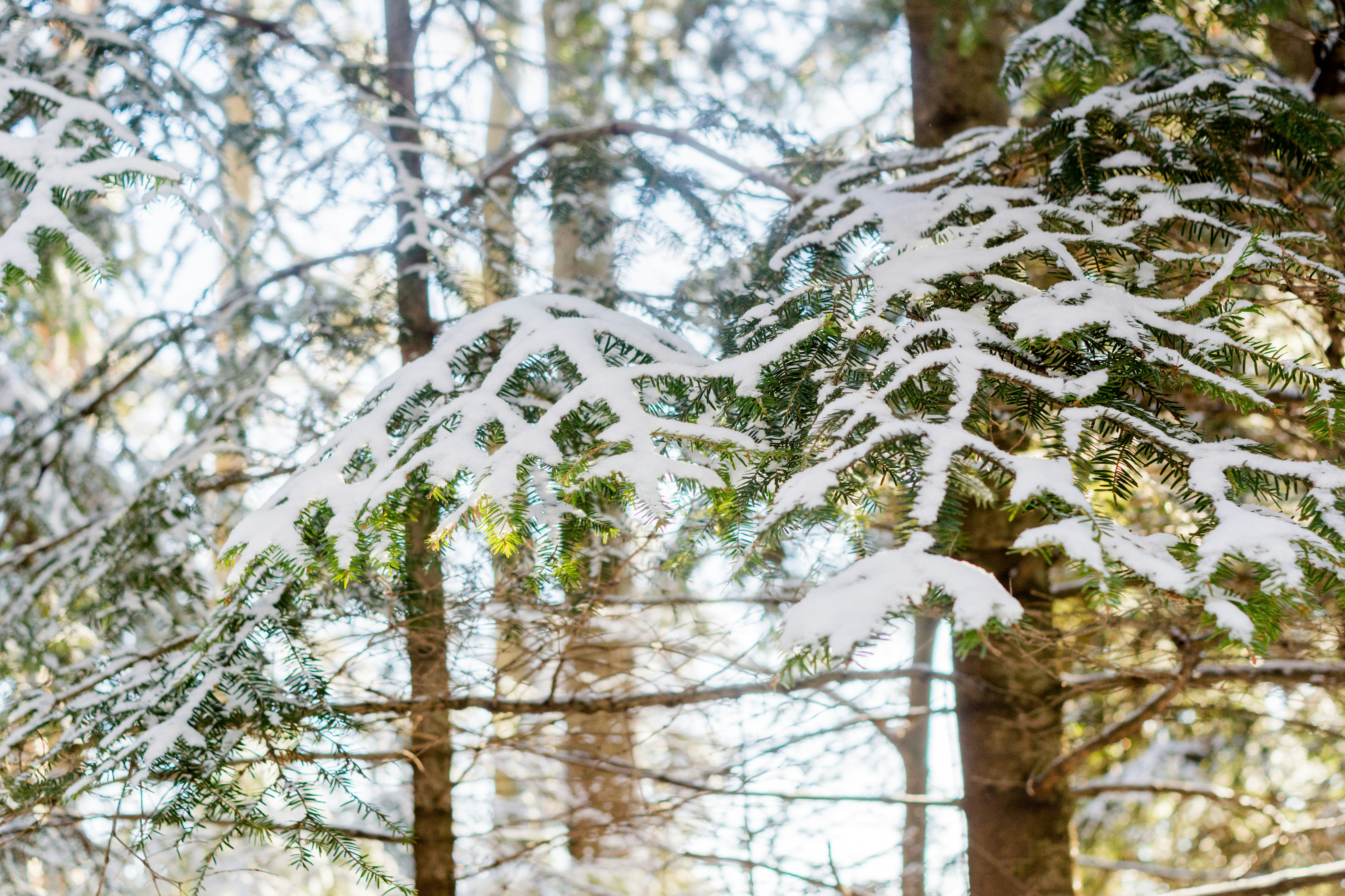 Photo by eugenivy_now