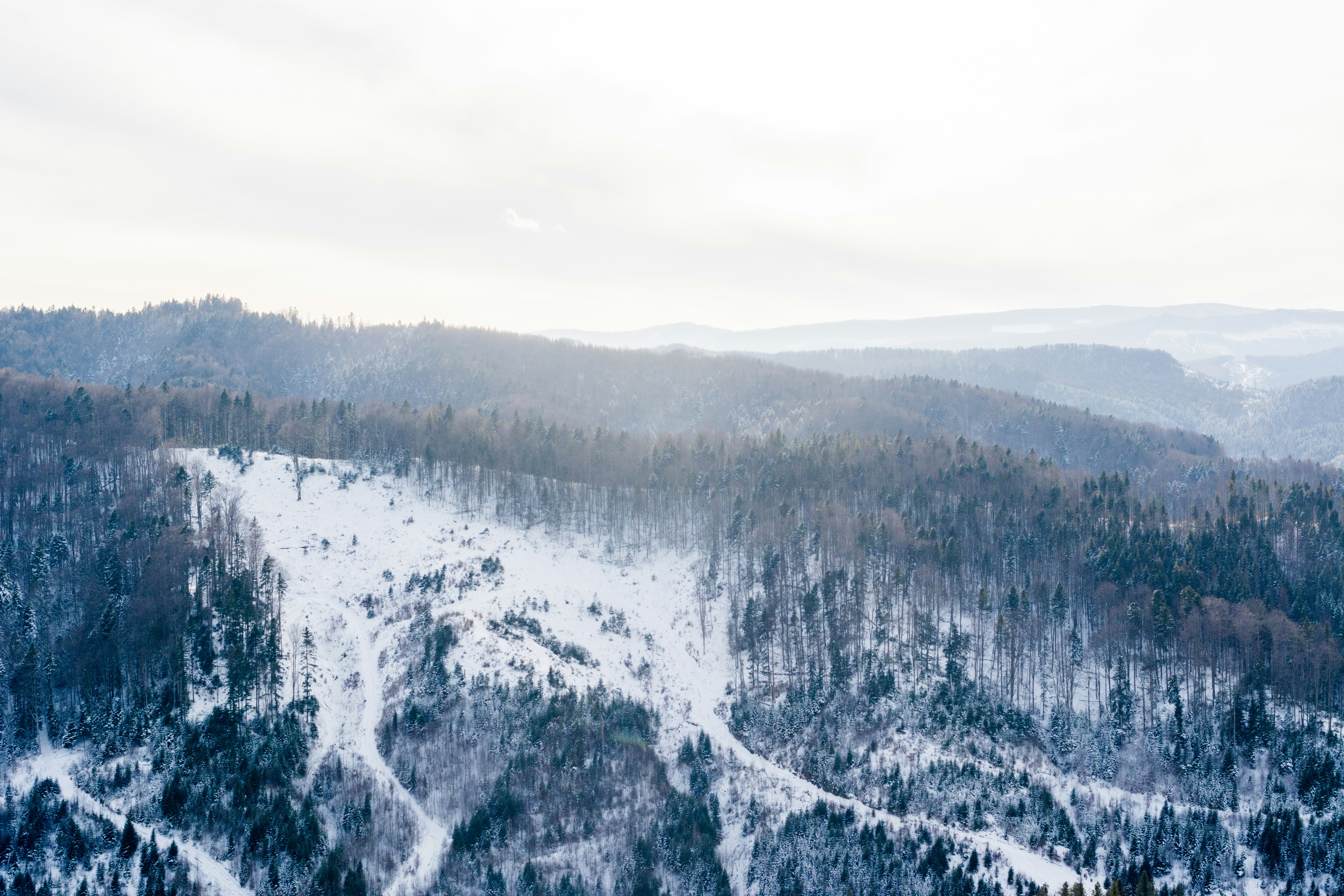 Photo by eugenivy_now