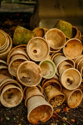 a group of round objects