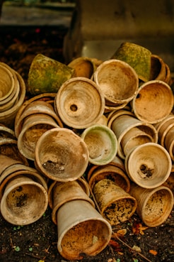 a group of round objects