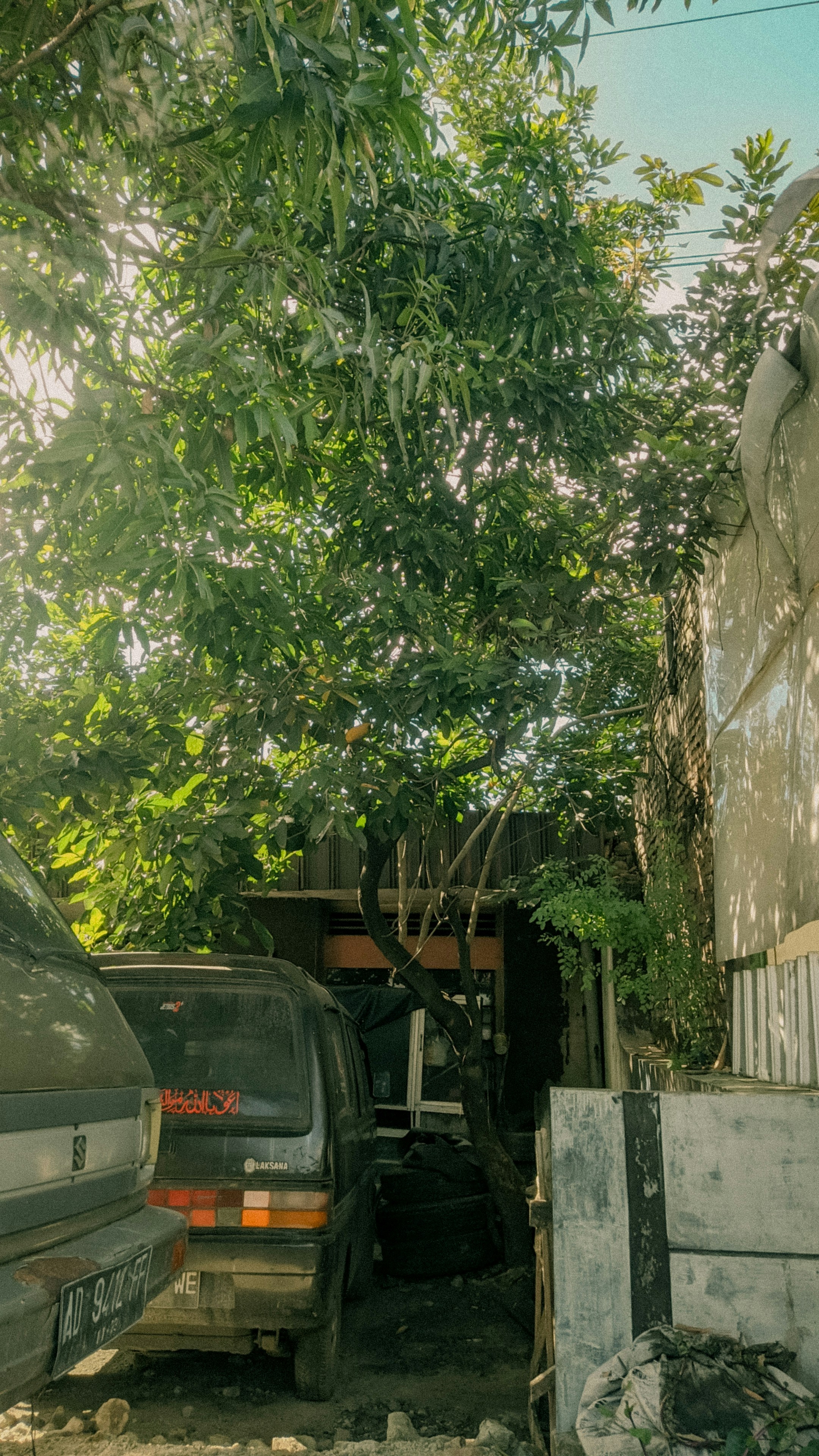 Photo by fahrezaandy