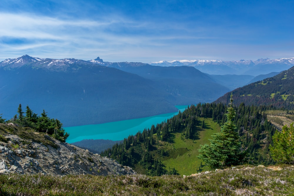 a landscape with trees and mountains