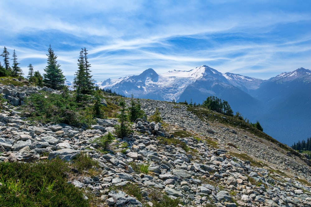 a rocky area with trees and mountains in the background