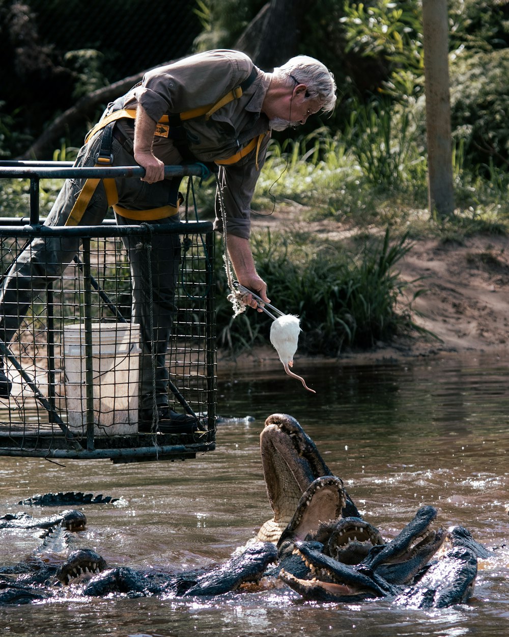 a man holding a fishing pole and a fish in a river