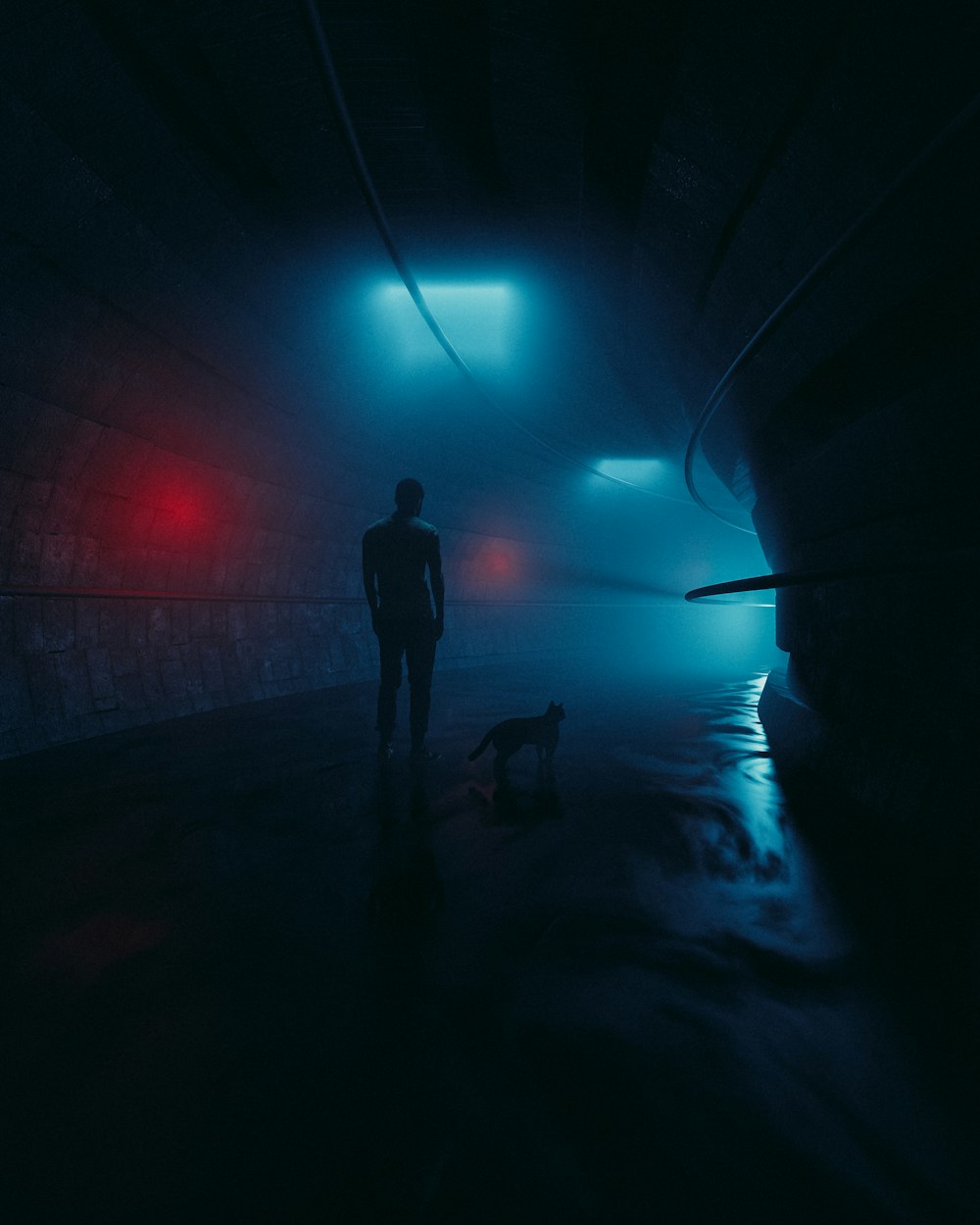 a person and a dog in a tunnel