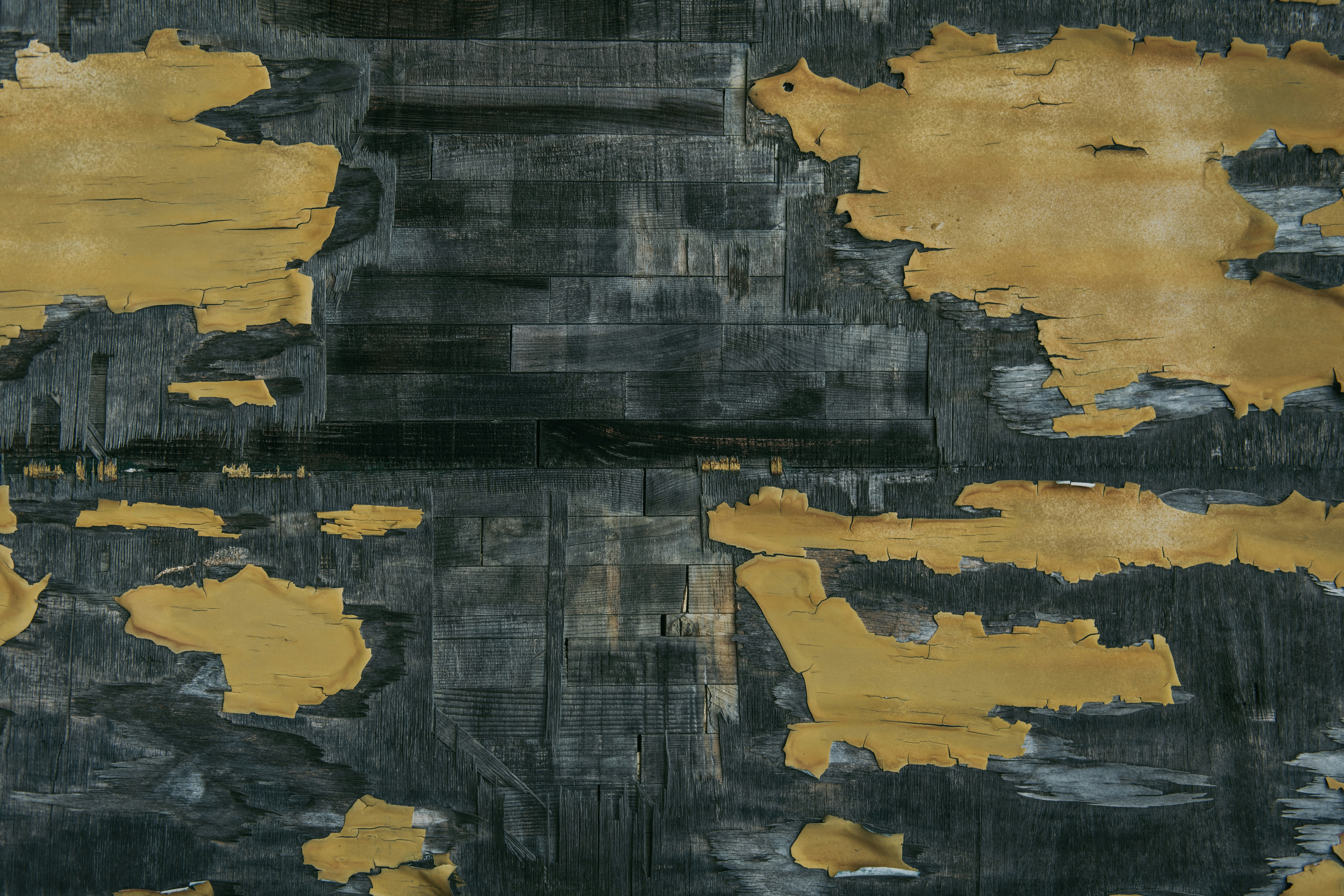 Photo by timmossholder