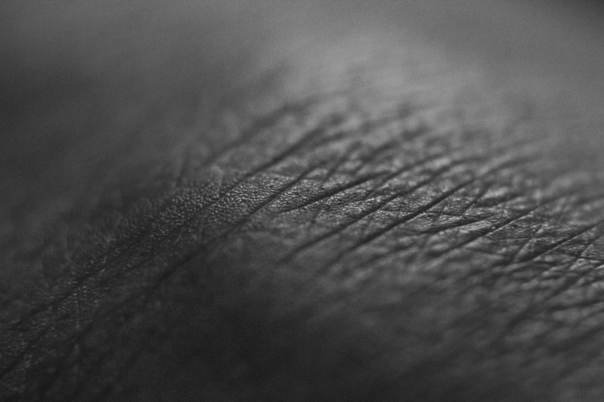 a close-up of a wave