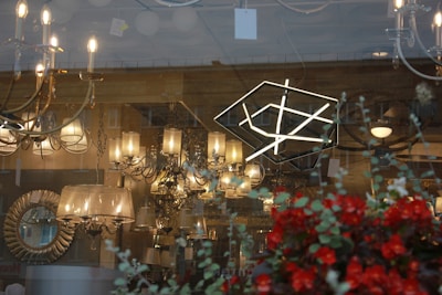 A variety of chandeliers and lamps are displayed in a shop window. The lighting fixtures range from traditional to modern designs, with some emitting a warm glow. Reflections of the street and nearby buildings are visible on the glass. In the foreground, there are red flowers and green foliage partially obscuring the view.