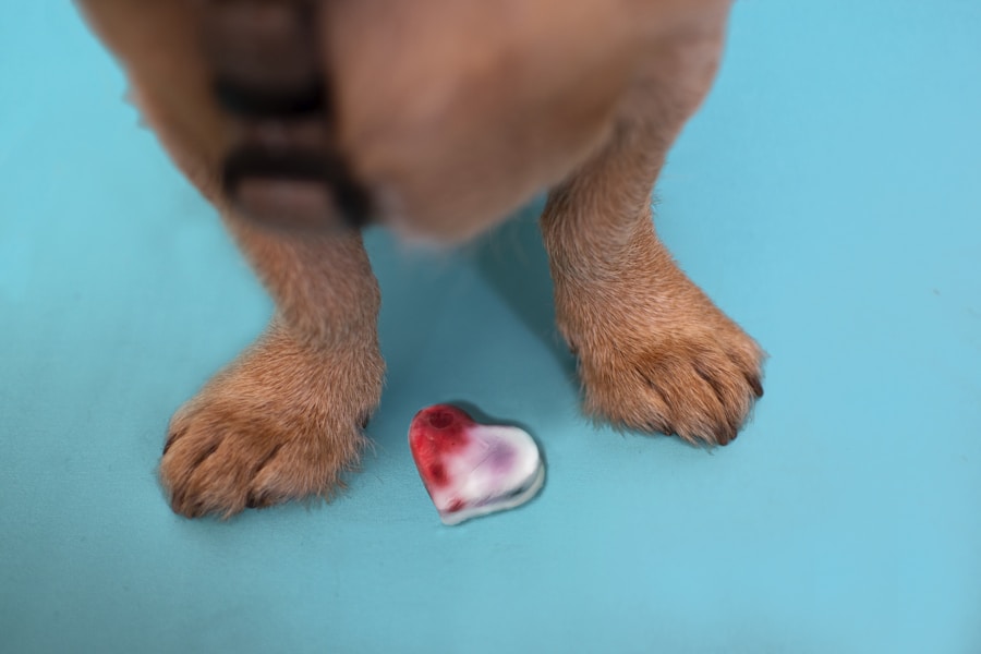 How to Update Your Dog's Microchip Details UK: Complete Guide