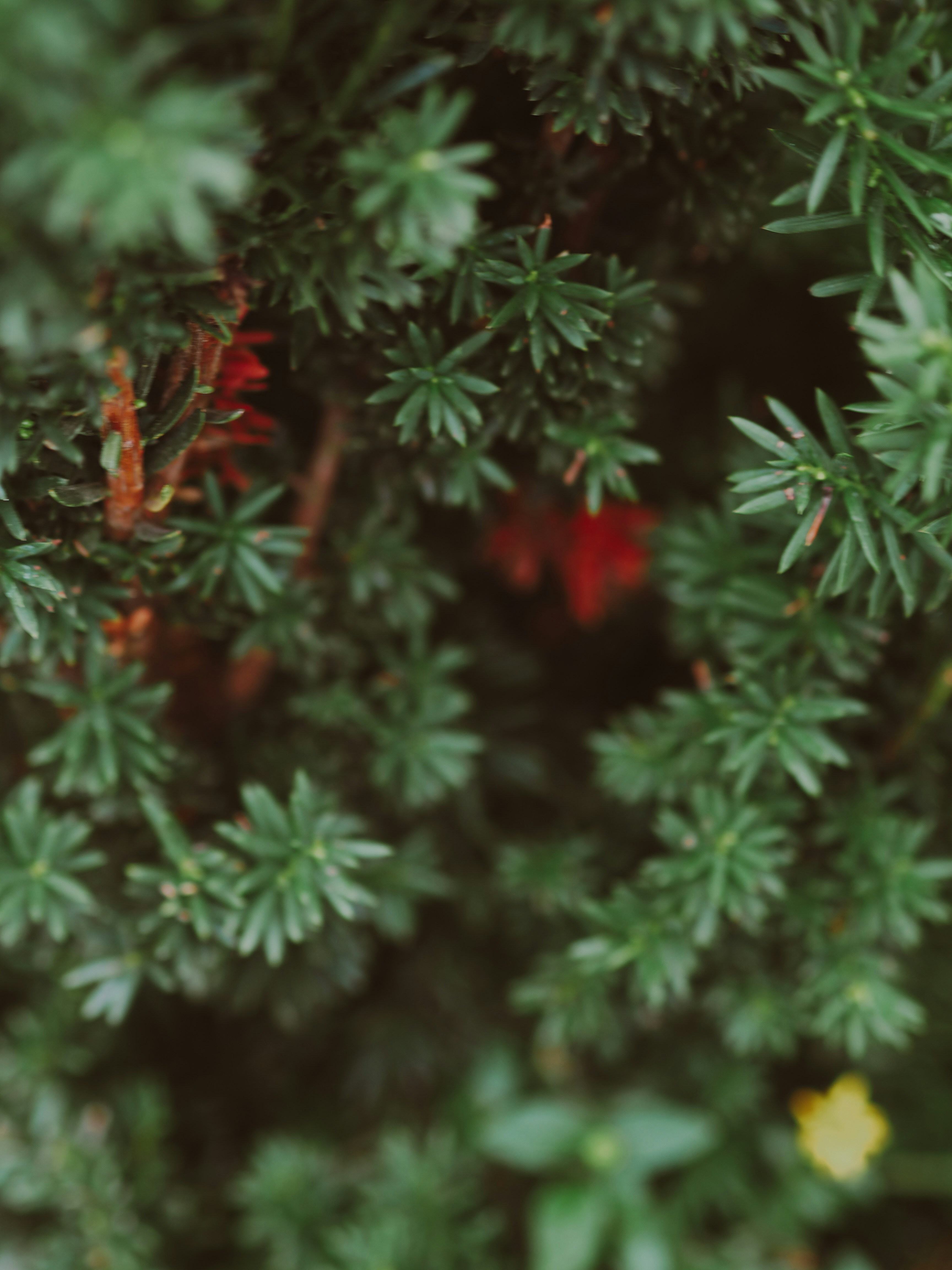 Photo by laurachouette