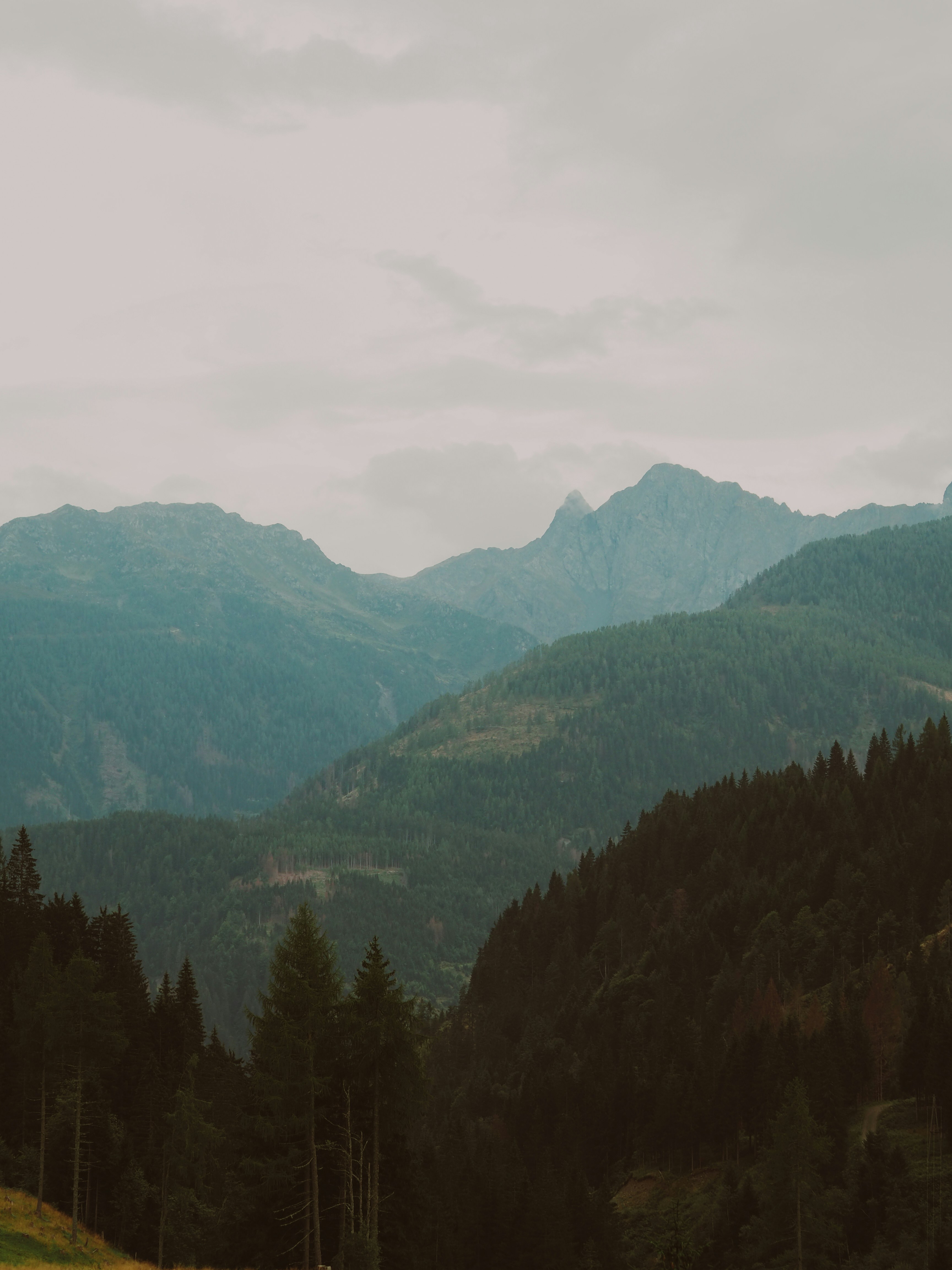 Photo by laurachouette