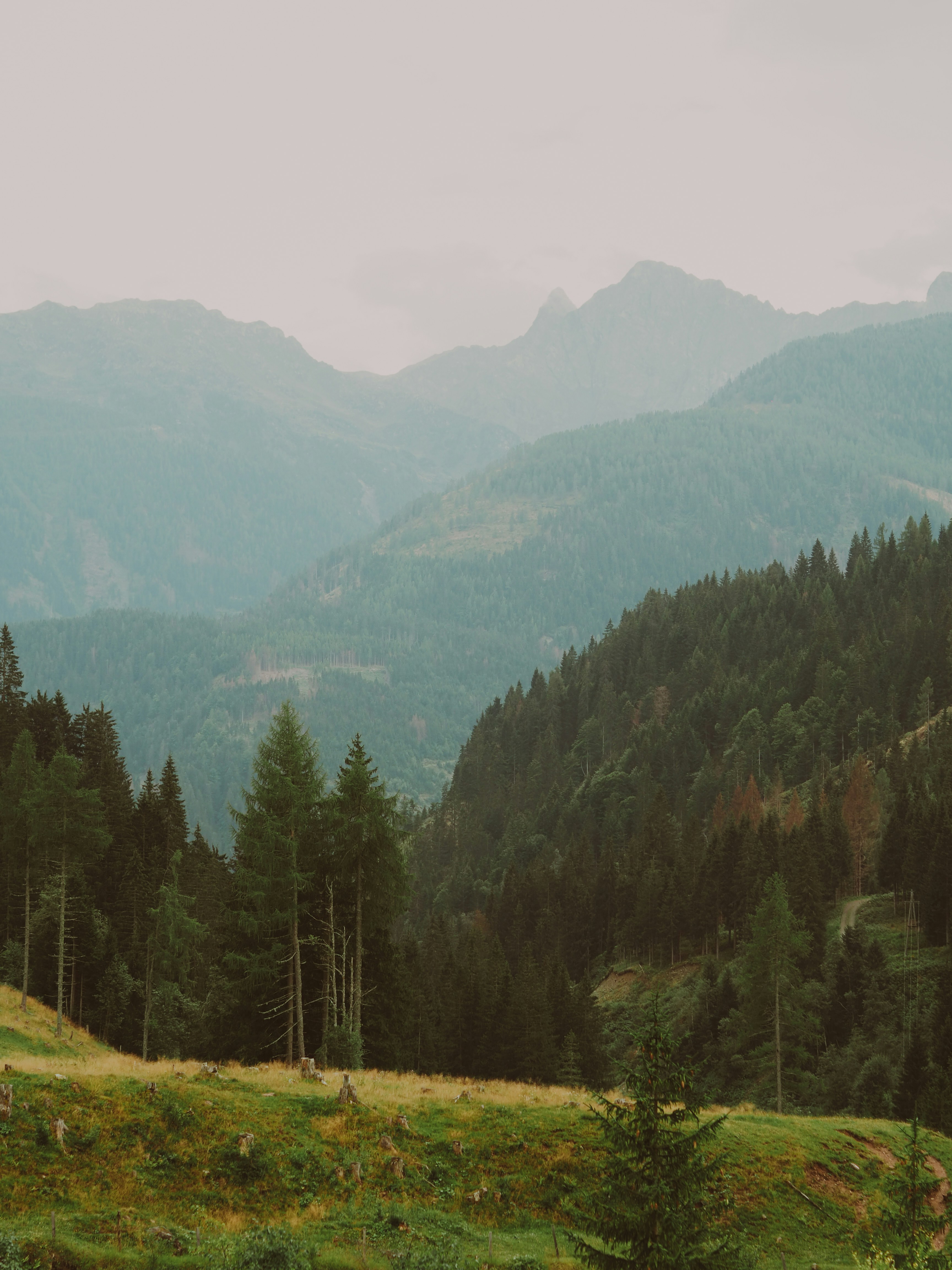 Photo by laurachouette