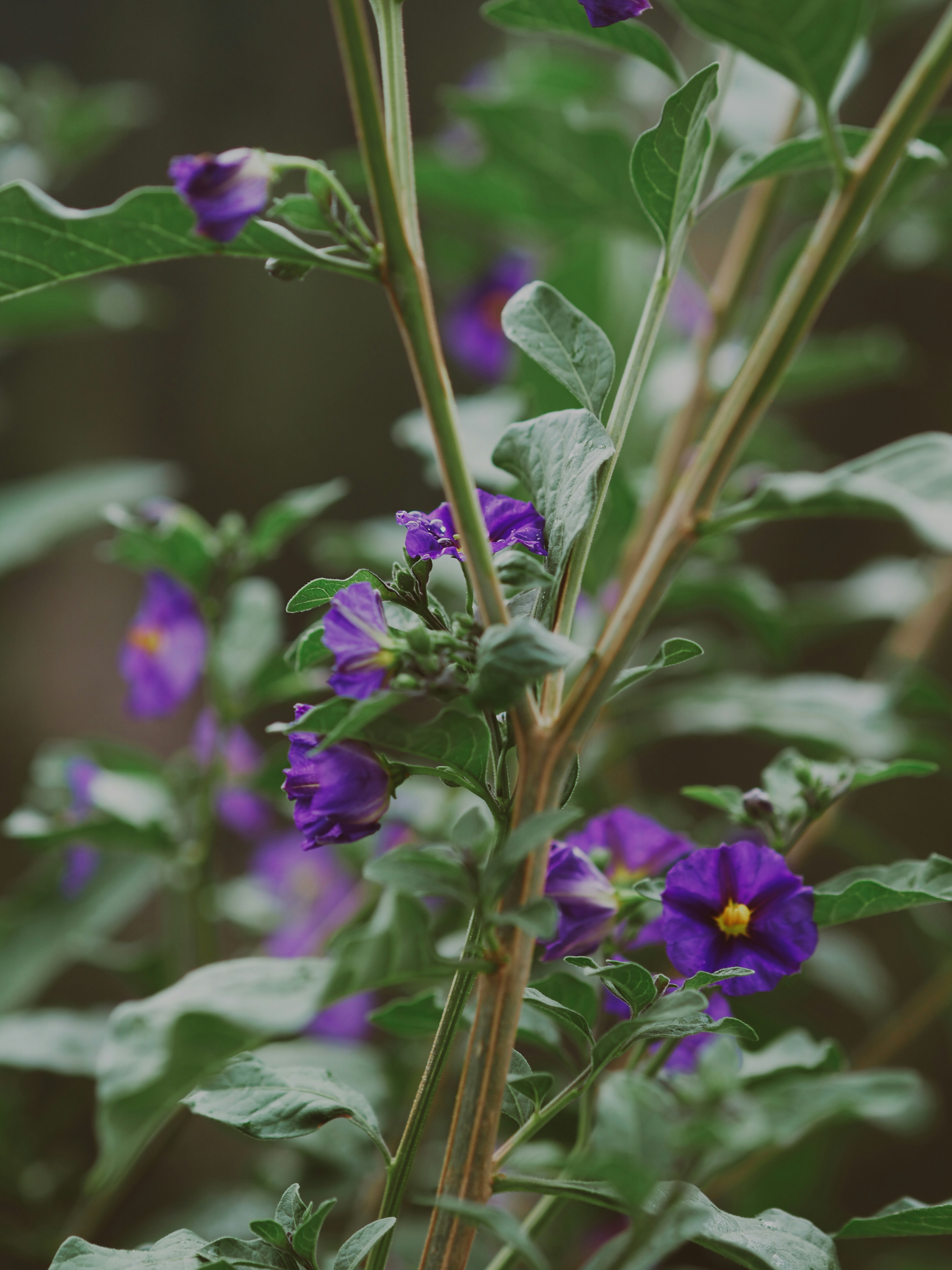 Photo by laurachouette