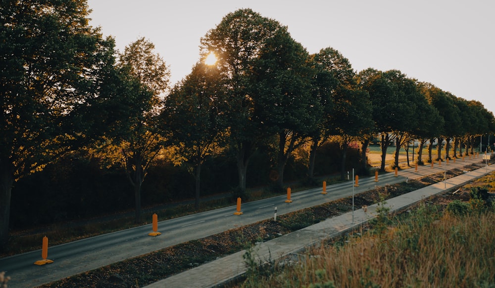 a road with trees on the side