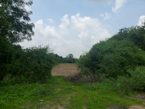 A lush green garden with winding stone pathways and vibrant flower beds under a clear blue sky.