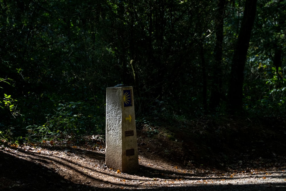 a concrete box in the middle of a forest