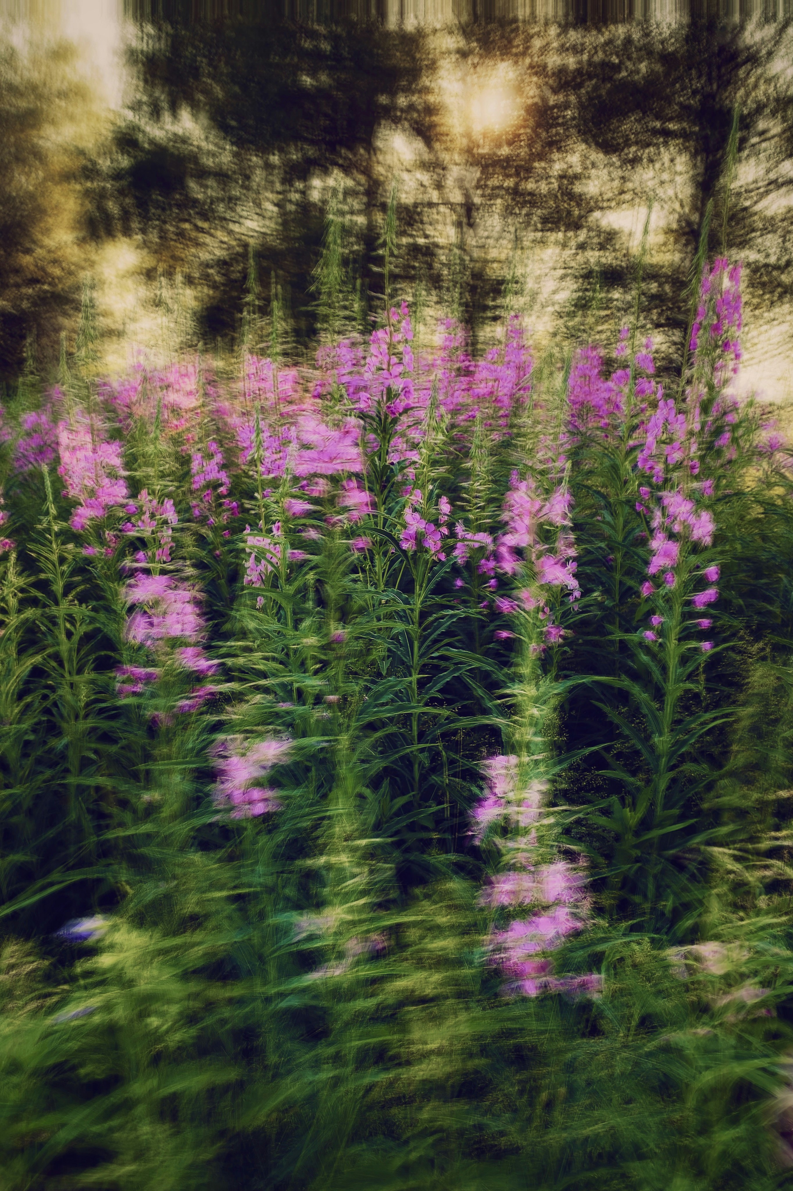 Photo by eugene_golovesov