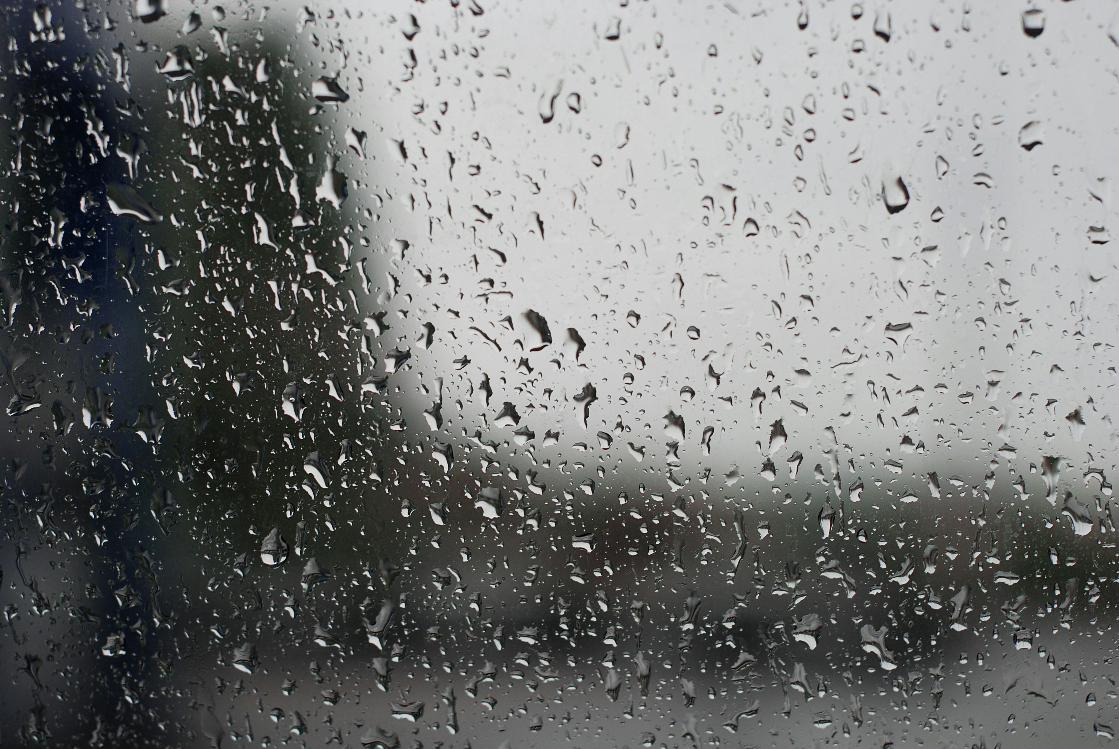 Photo by kovalskihelga