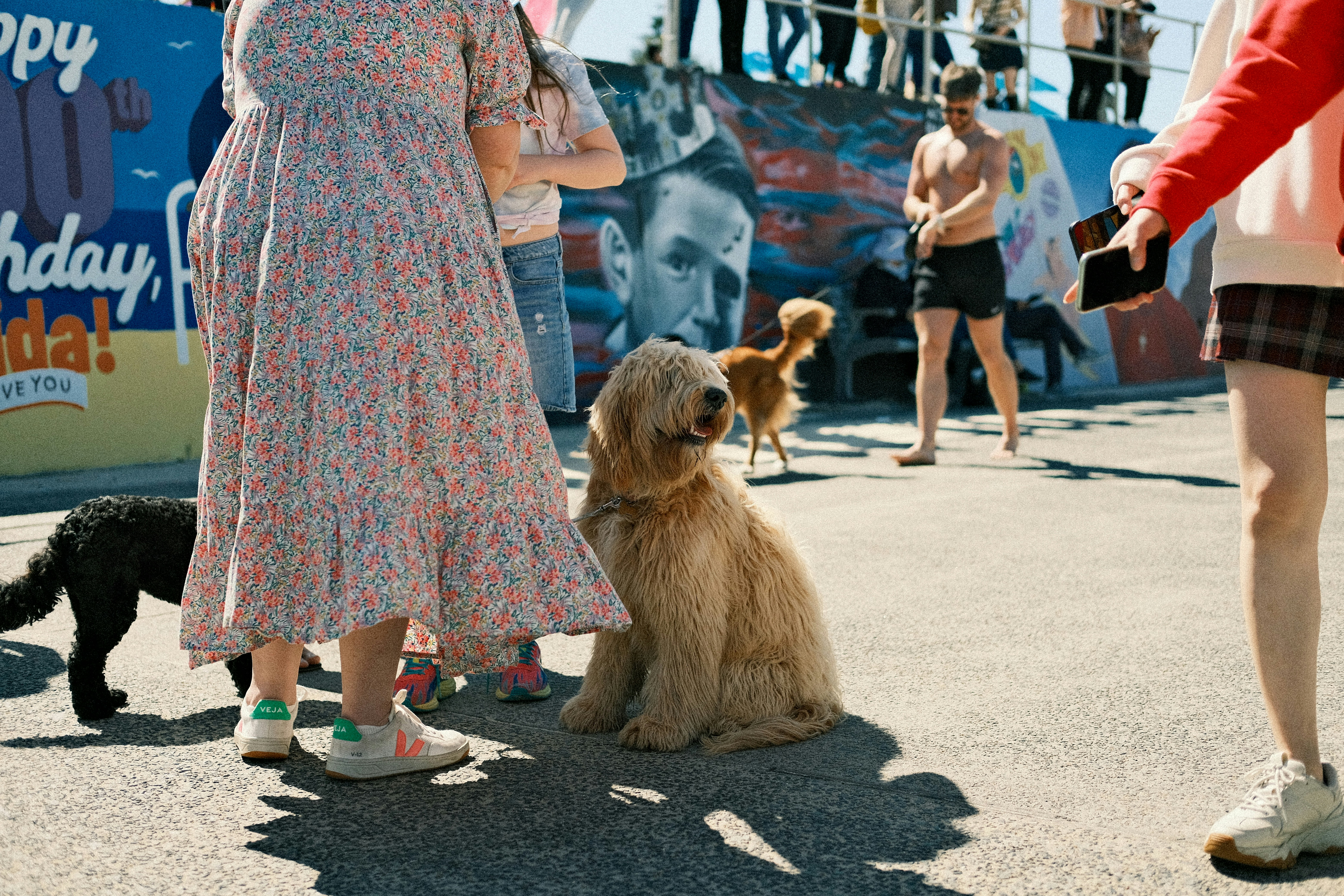 a person walking a dog