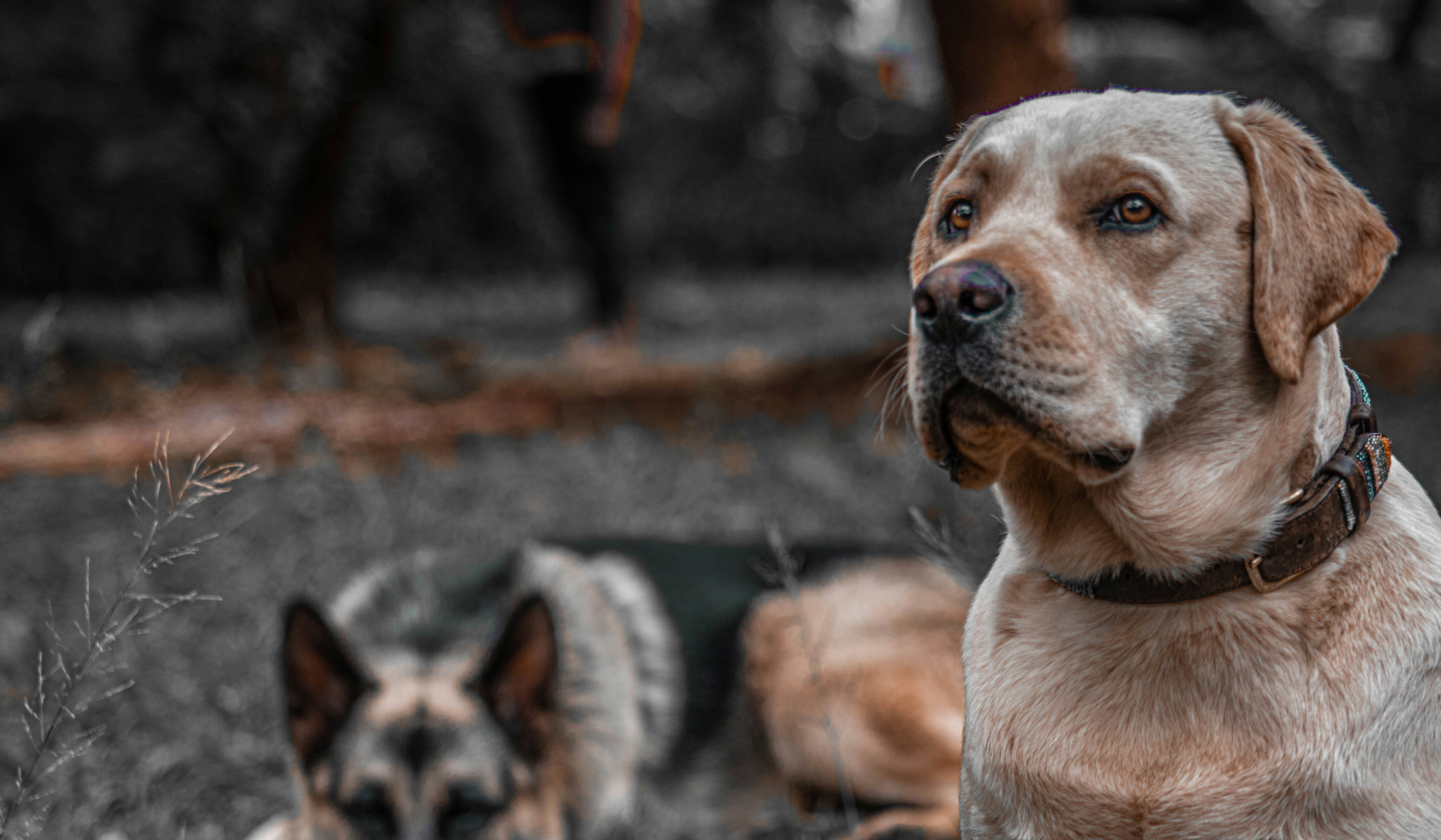 Photo by gideon_karanja