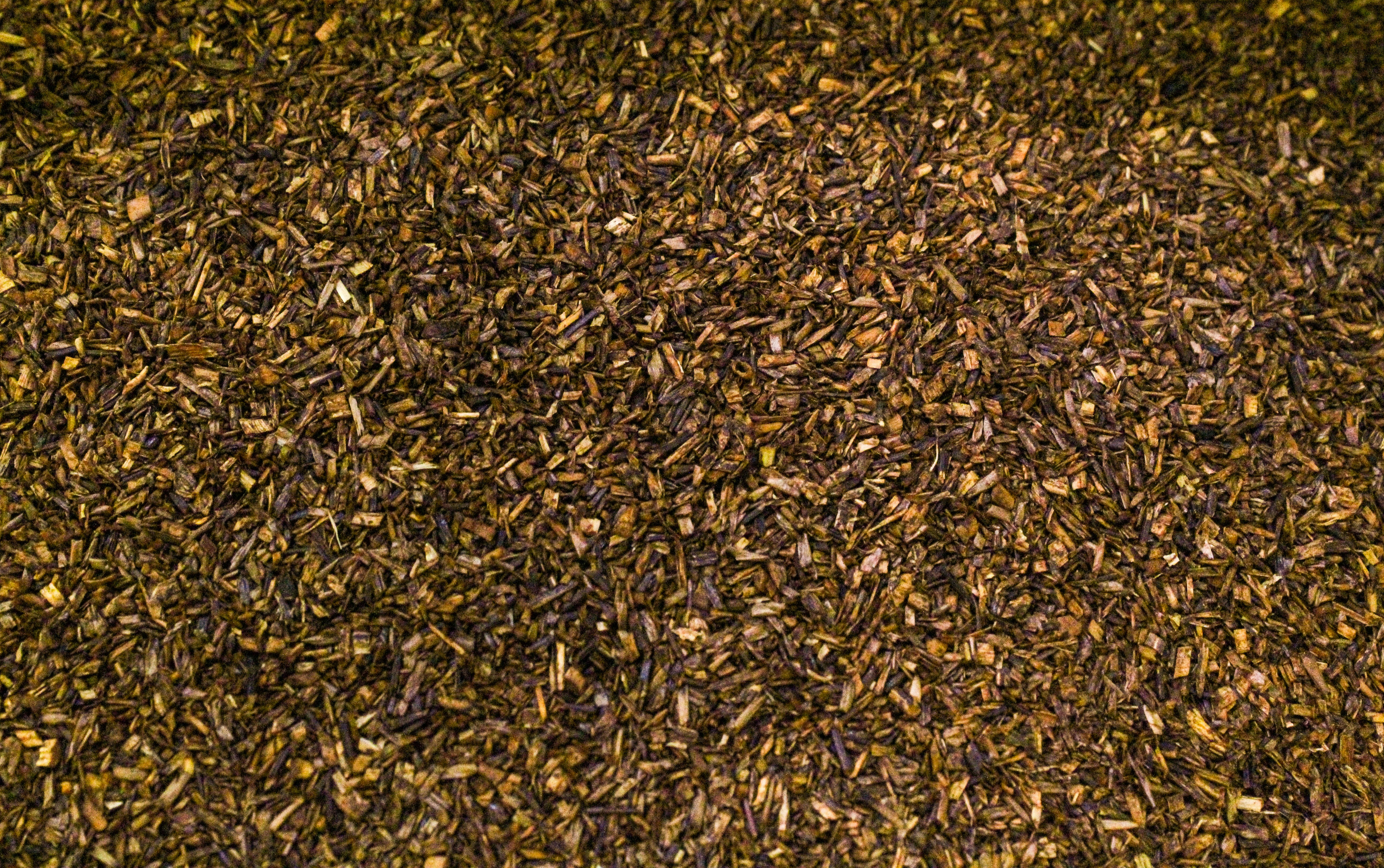 Photo by boredastronomer