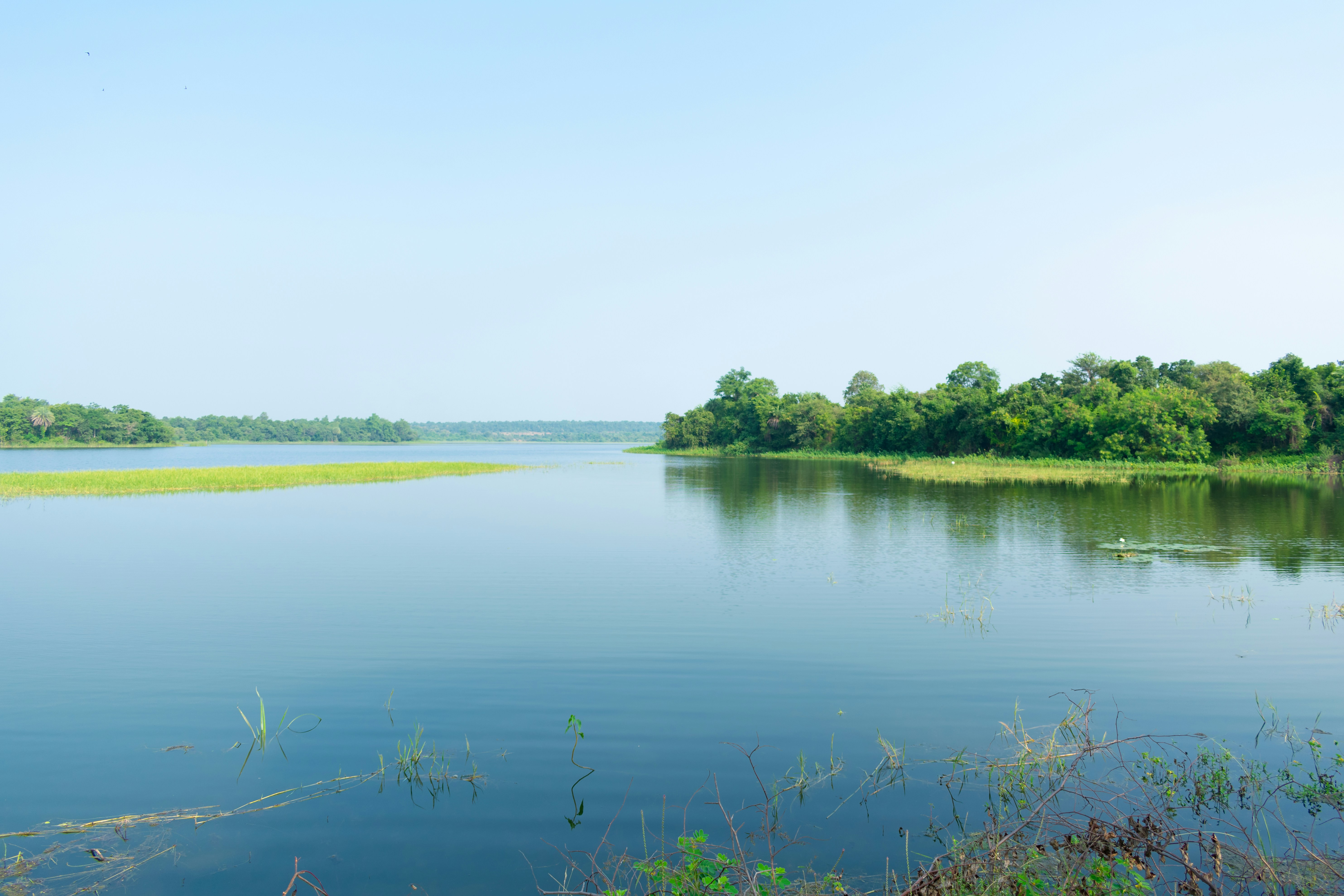 Photo by designingsucks