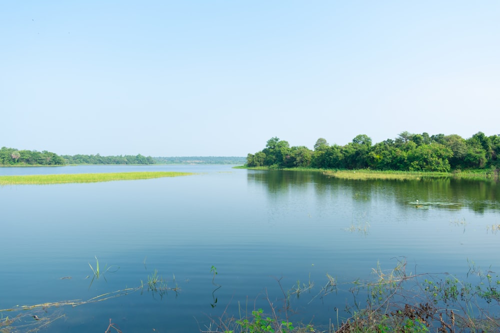 a body of water with trees in the background