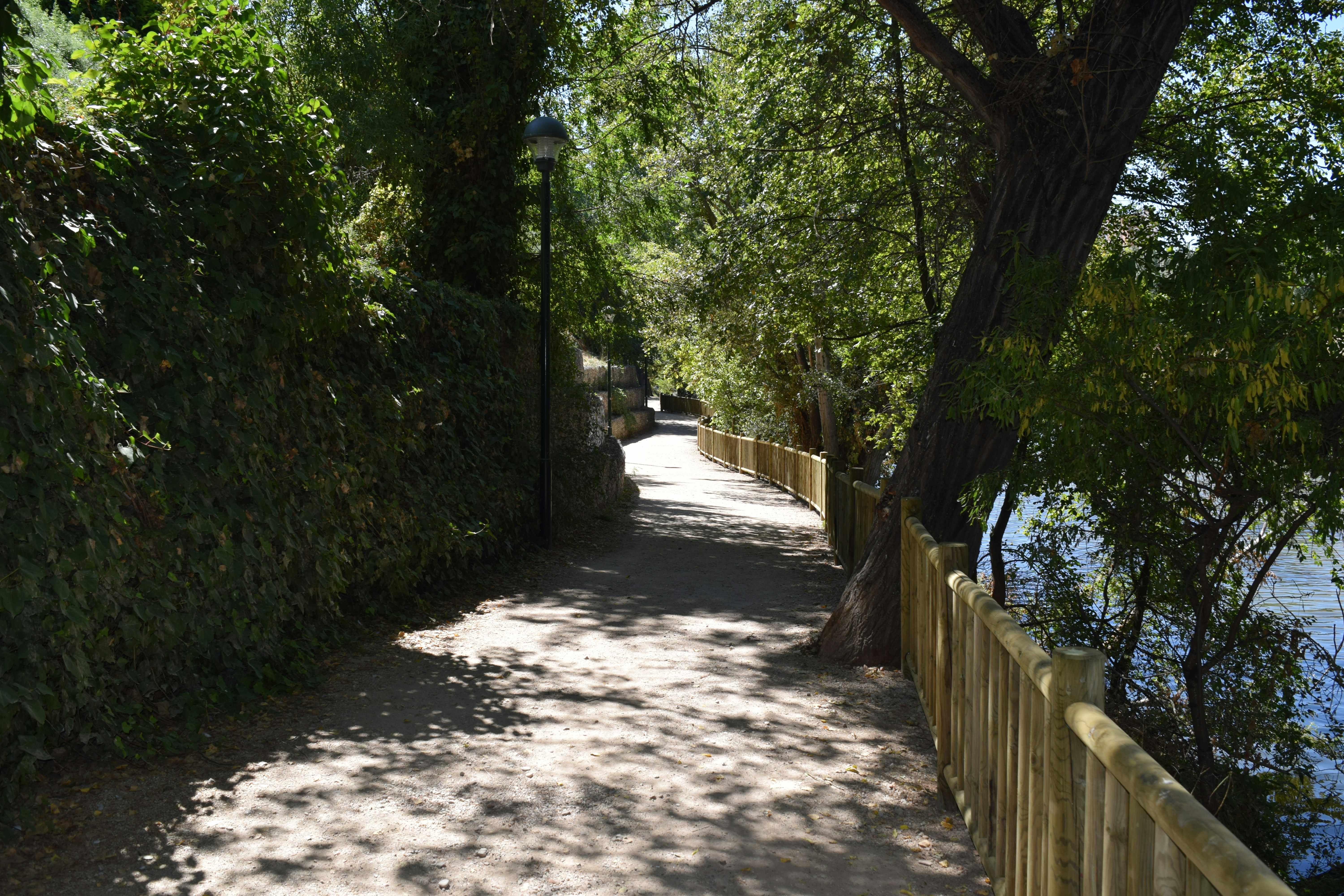 Photo by davidespinarincon