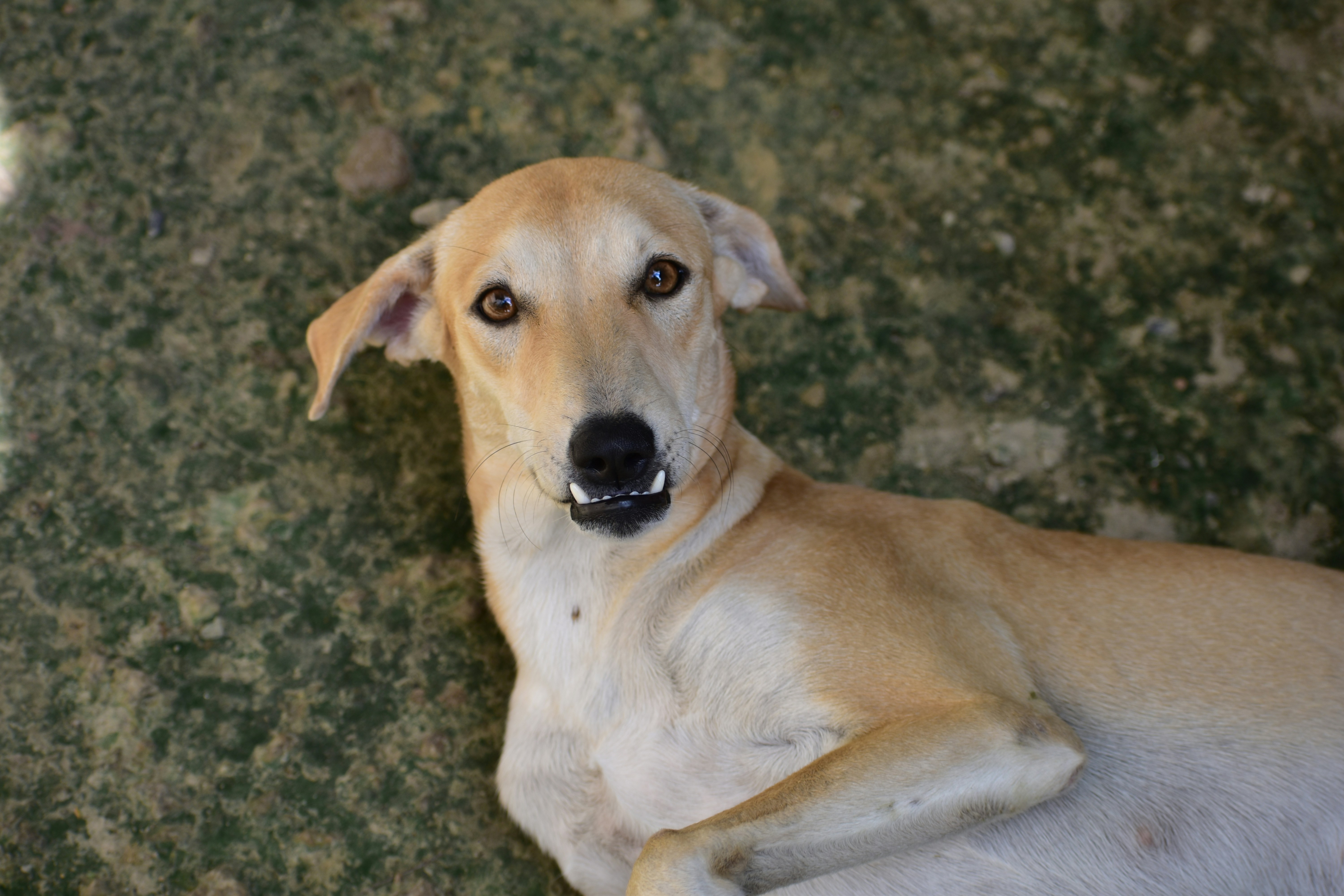 Photo by abhishek008