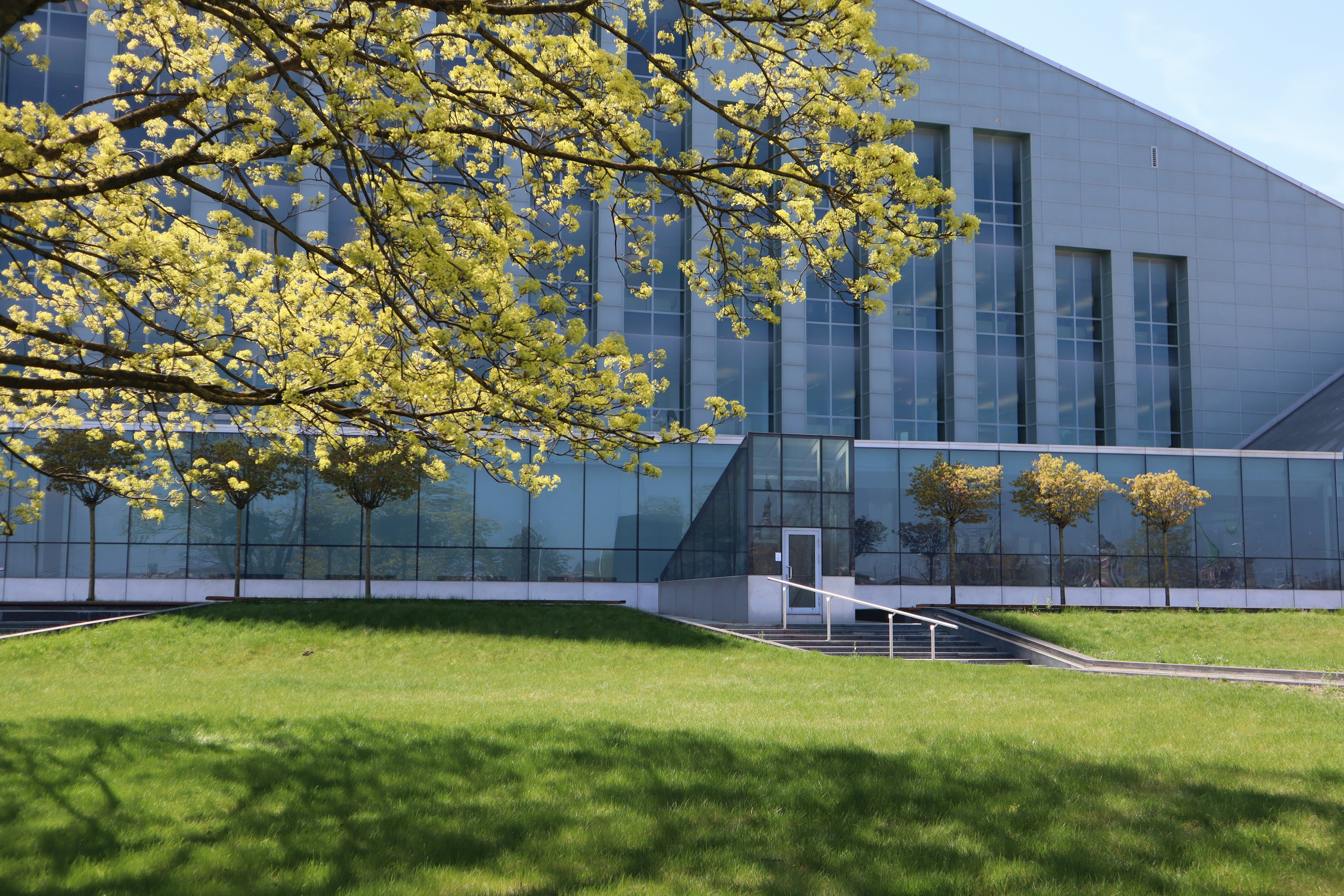 Photo by sophies_mum