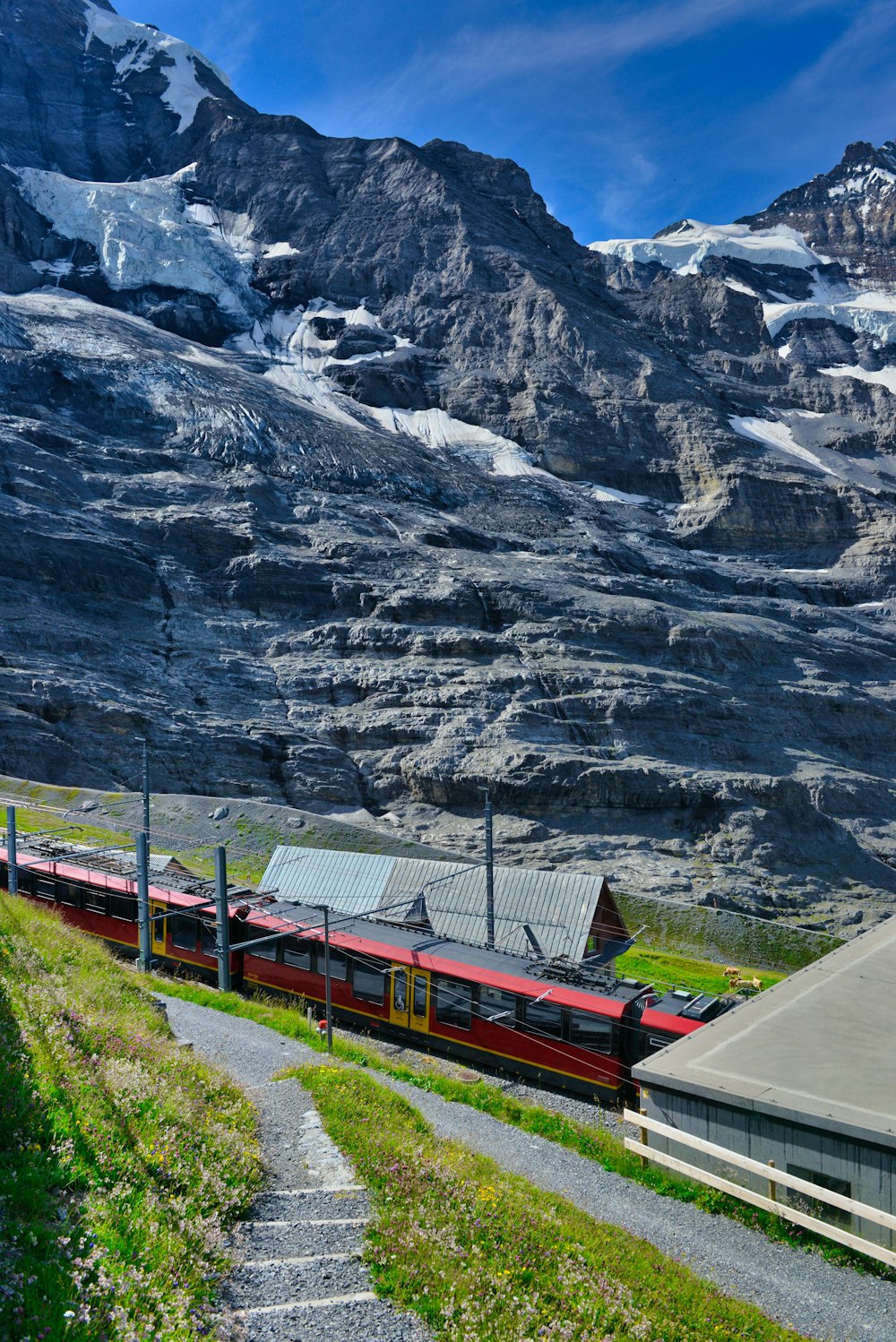 a train on the railway tracks