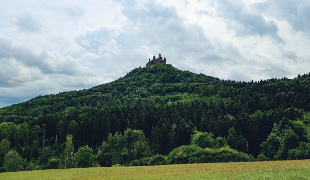 a castle on a hill