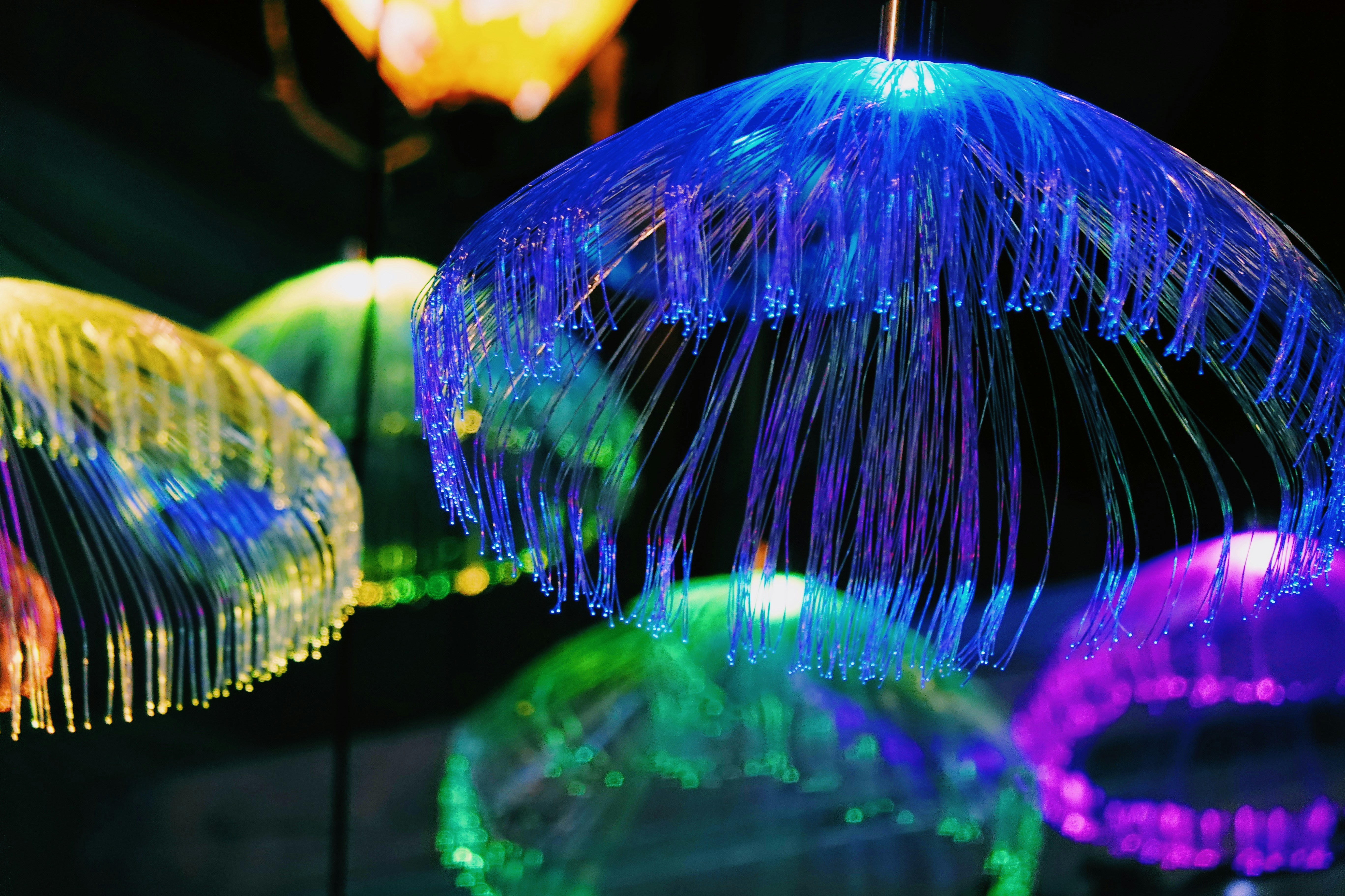 Photo by fanandy5036