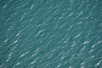 Close-up of water rippling over a carefully designed flood barrier, reflecting sunlight.