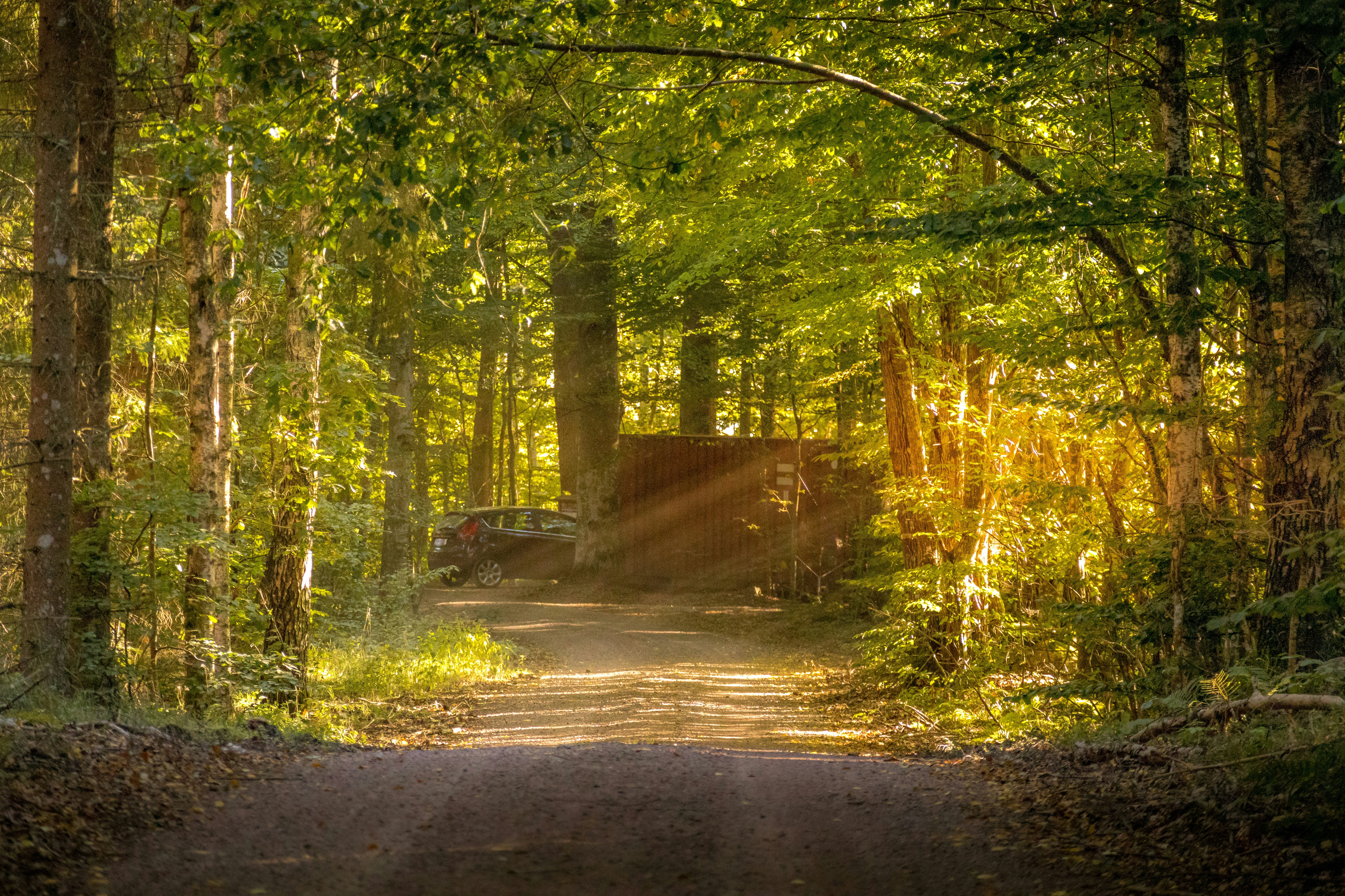 Photo by amandine_bataille_photo