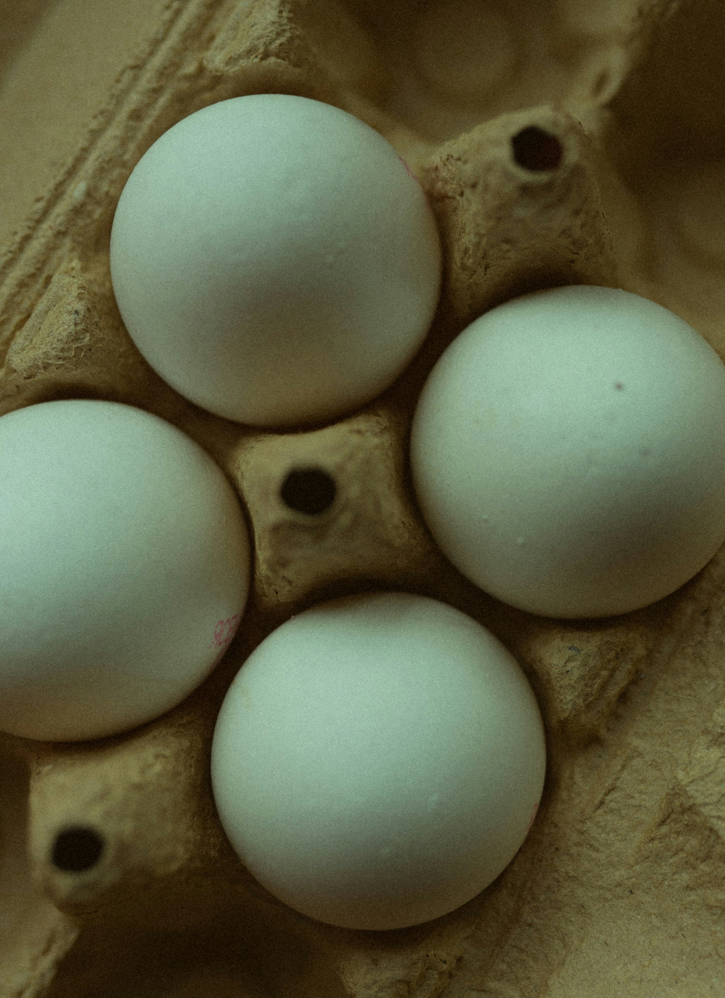 sekelompok telur