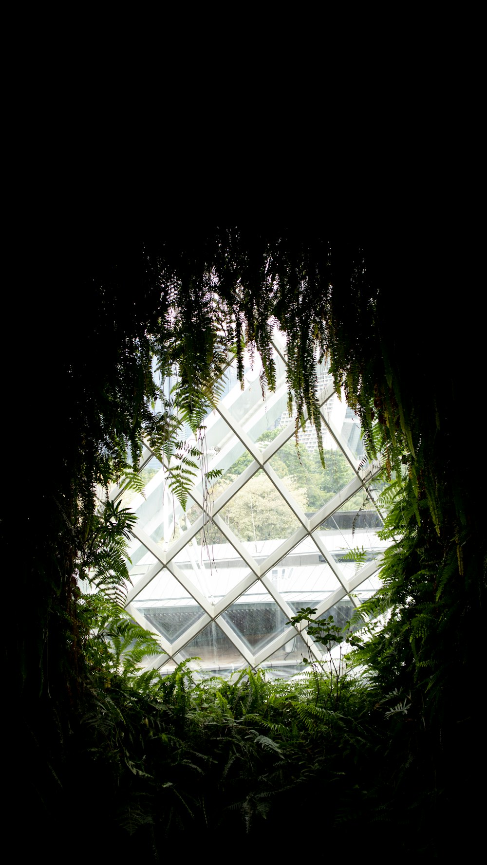 Parque Nacional de las Cavernas del Río Camuy with a glass roof