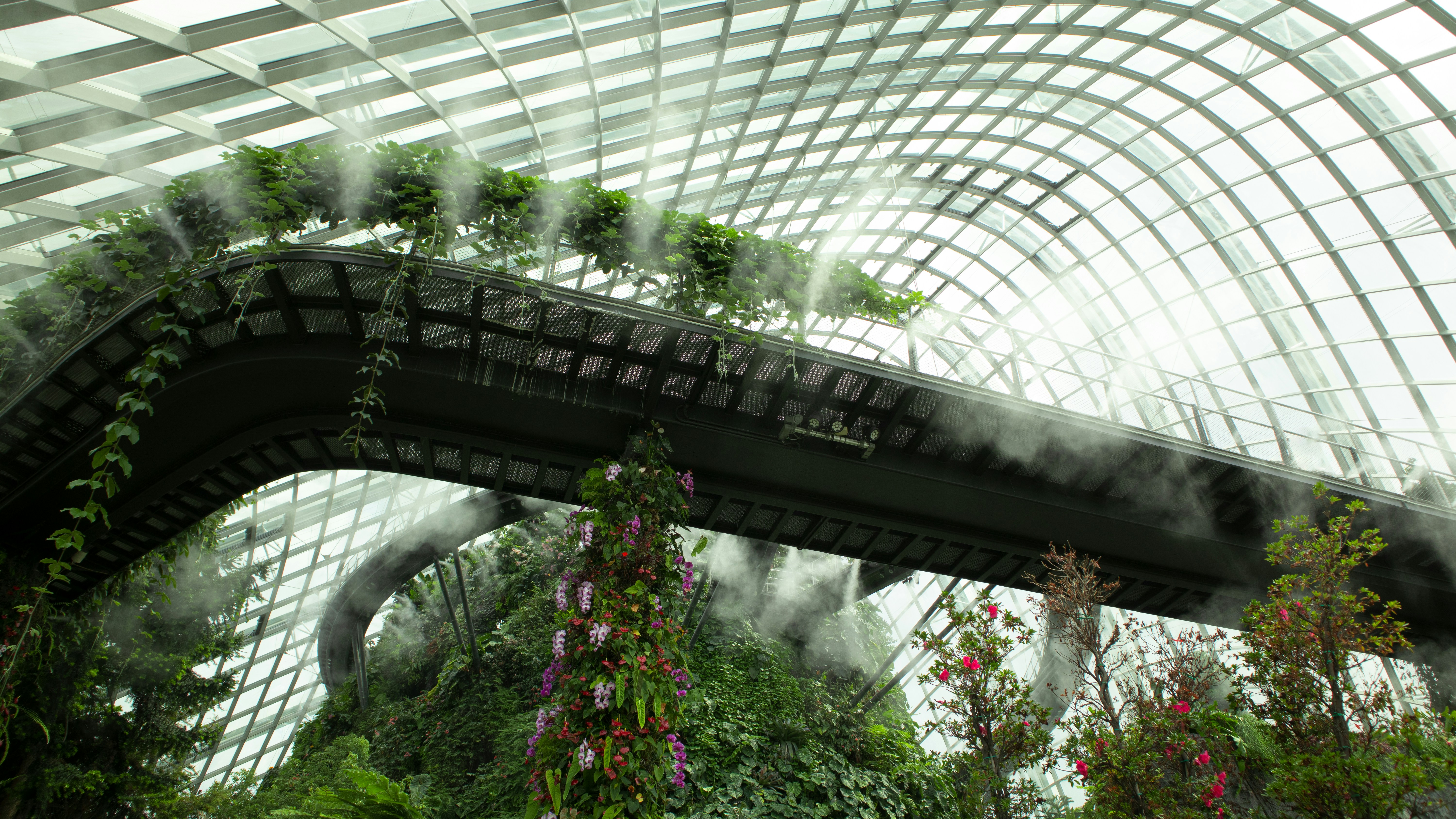 a greenhouse with plants and flowers