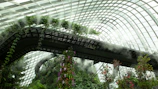 A misty wetland landscape with native plants thriving around a breathable architectural structure.