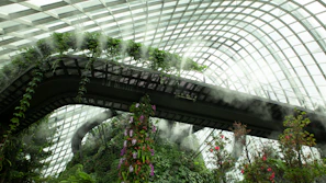 A misty wetland landscape with native plants thriving around a breathable architectural structure.