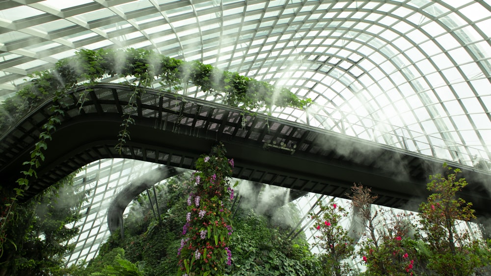 a greenhouse with plants and flowers