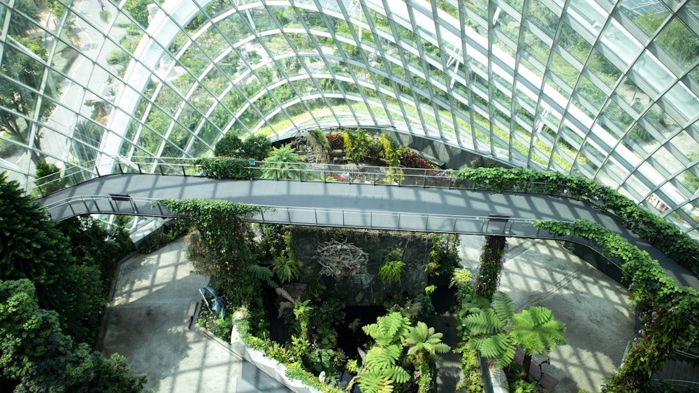 a large glass building with trees